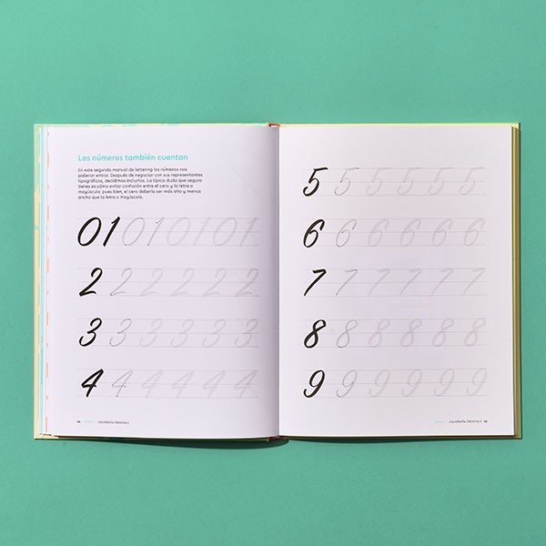 Cuaderno de lettering y caligrafía creativa para principiantes - La  Crisálida