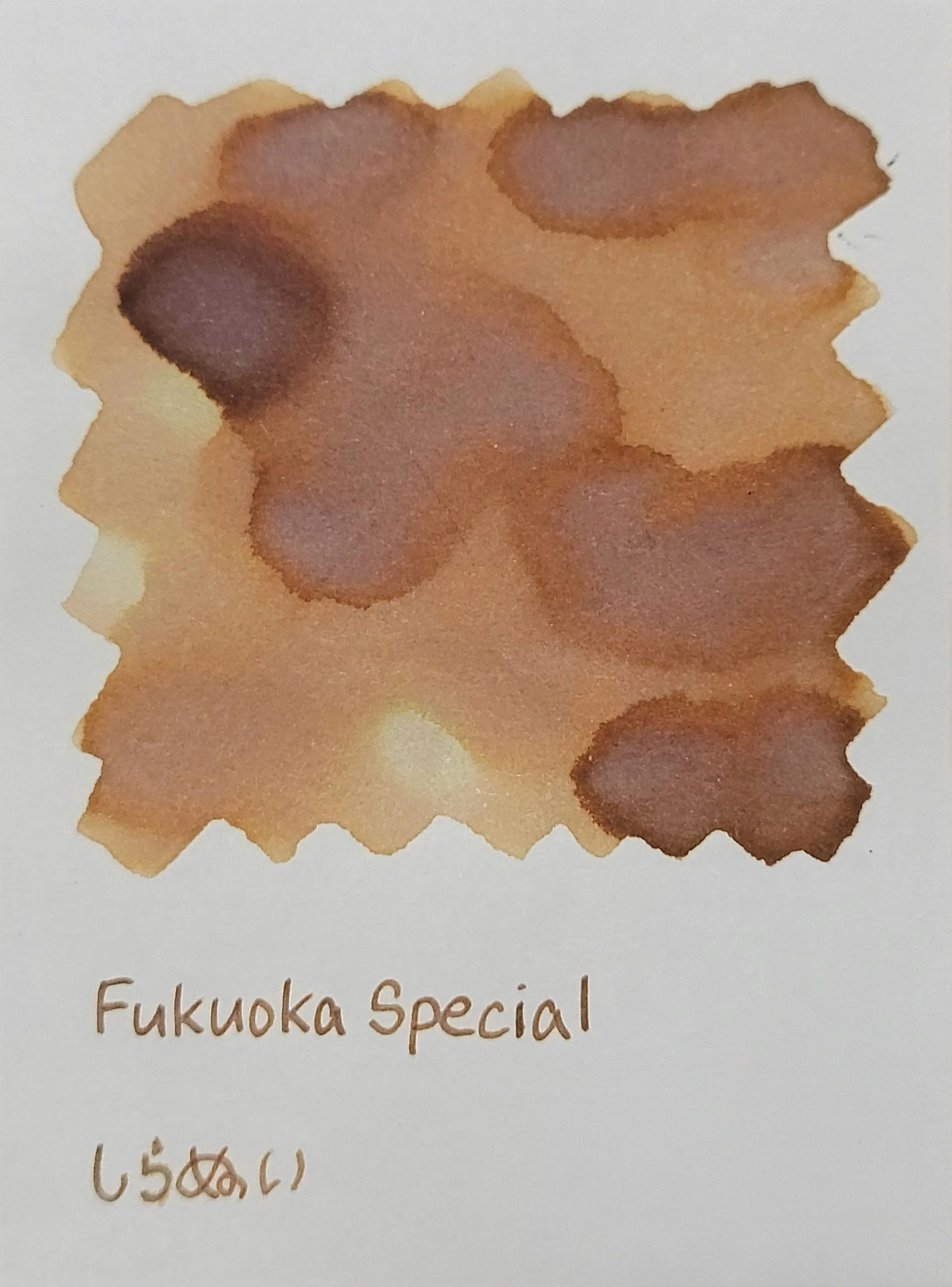 FK08Color.JPG