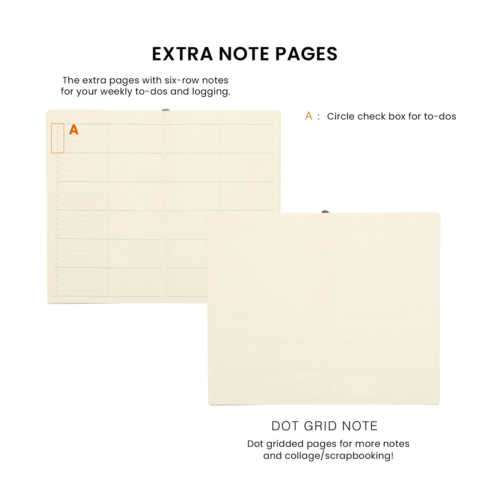 nq-format2_eng_df9646c5-95d0-4110-9431-6e4ae13aa325.webp (Copy) (Copy) (Copy)