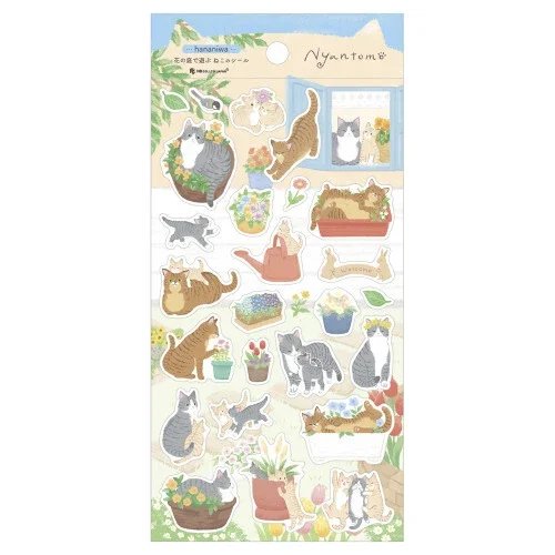 14139680_1003.jpg (1).webp