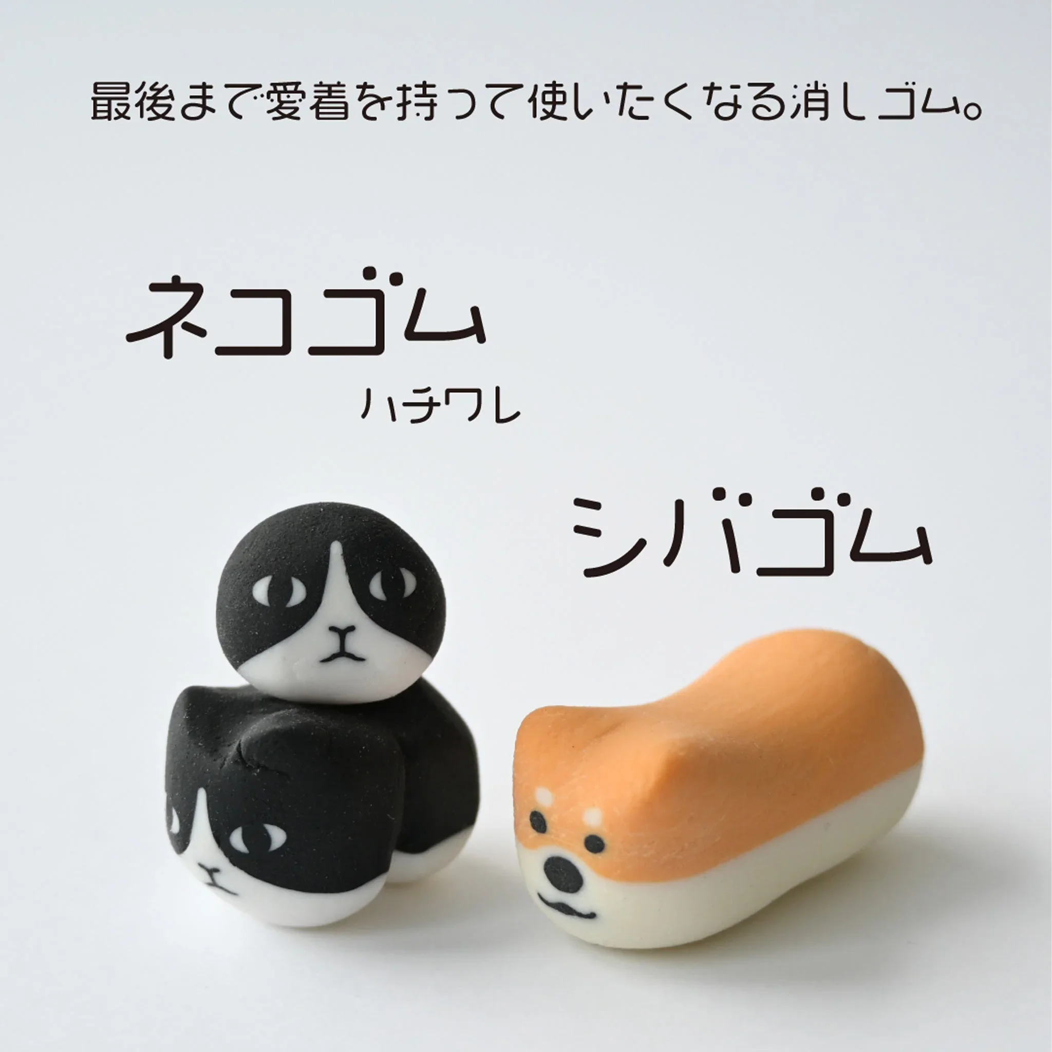 sun-star-eraser-cat-erasers-8136639.webp
