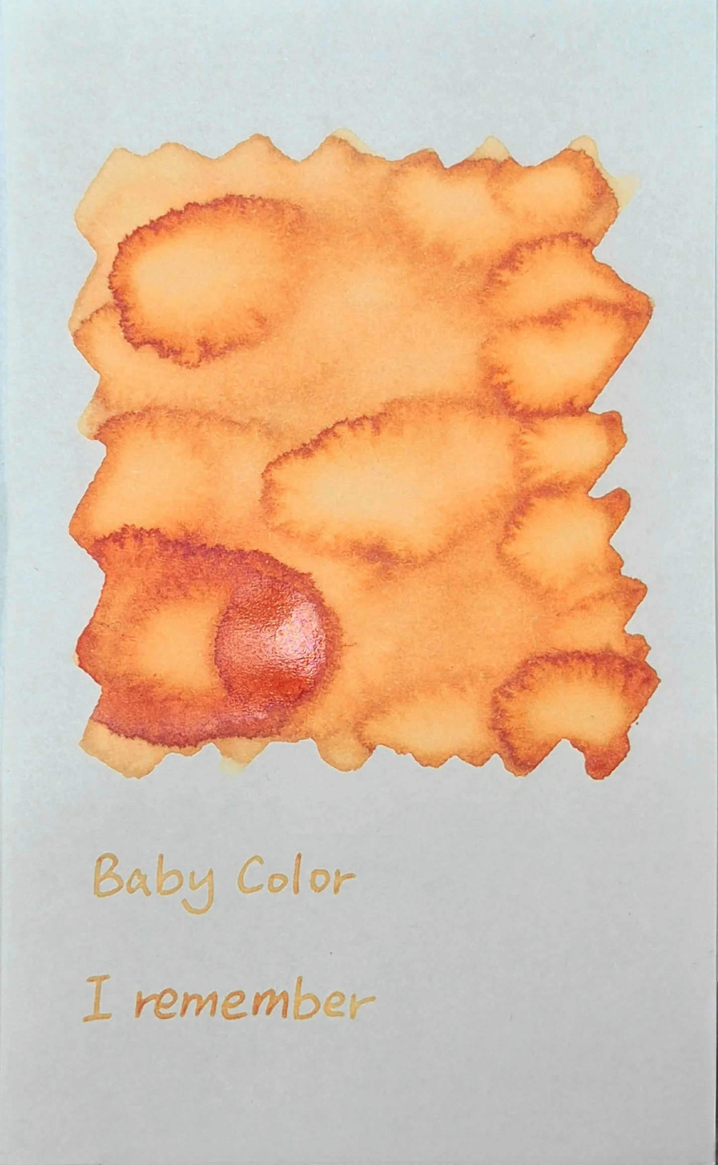 B31 Color.jpg