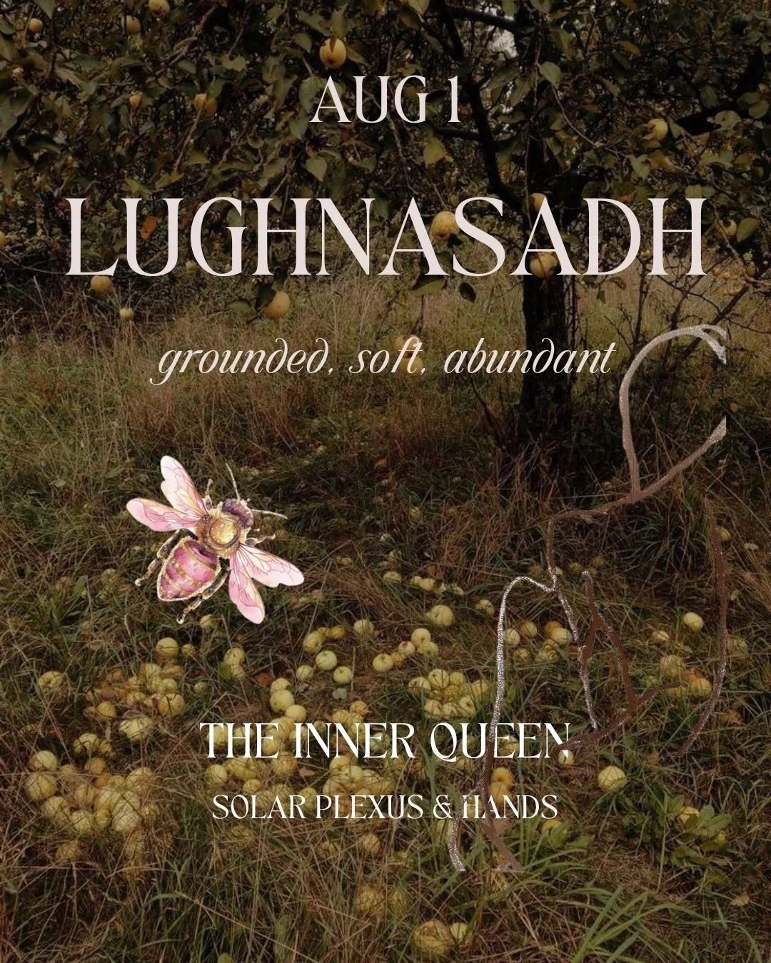 MILK FIRE HONEY BONE CIRCLES - LUGHNASADH