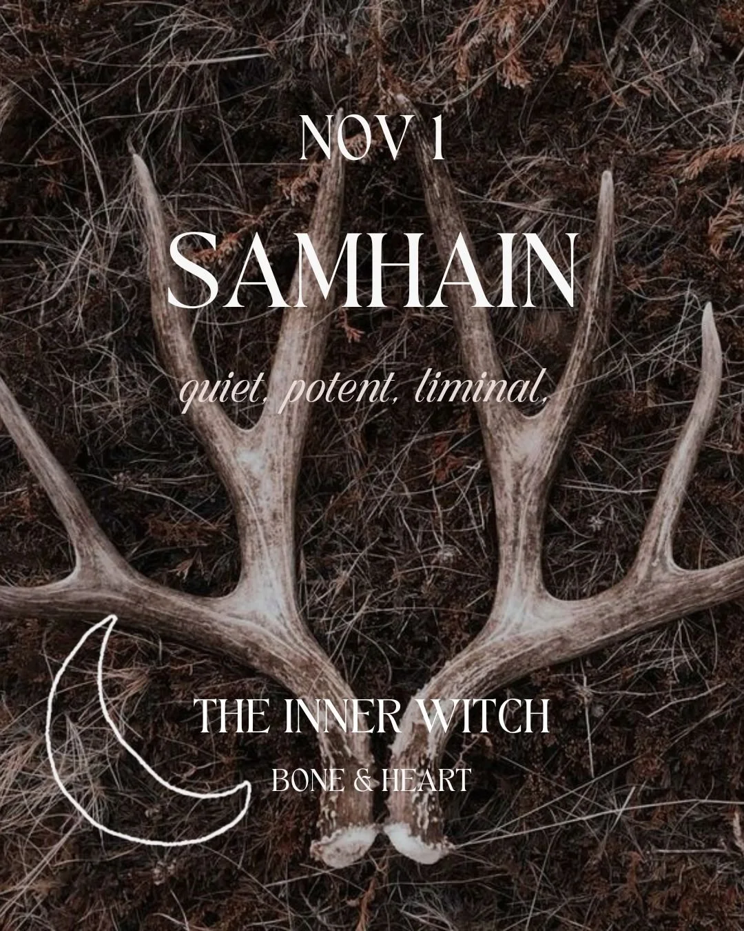 MILK FIRE HONEY BONE CIRCLES - SAMHAIN