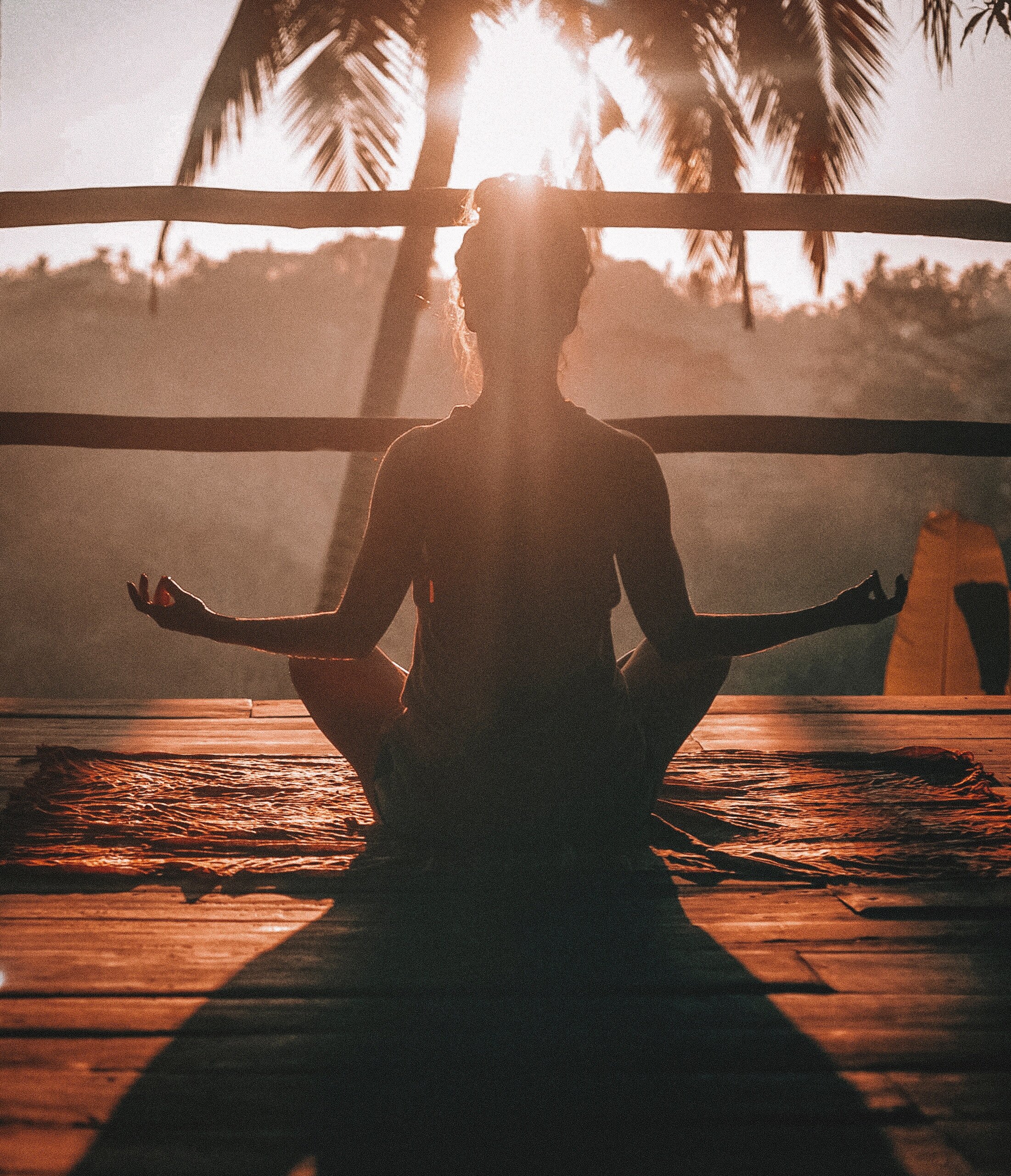   Meditation and Yoga