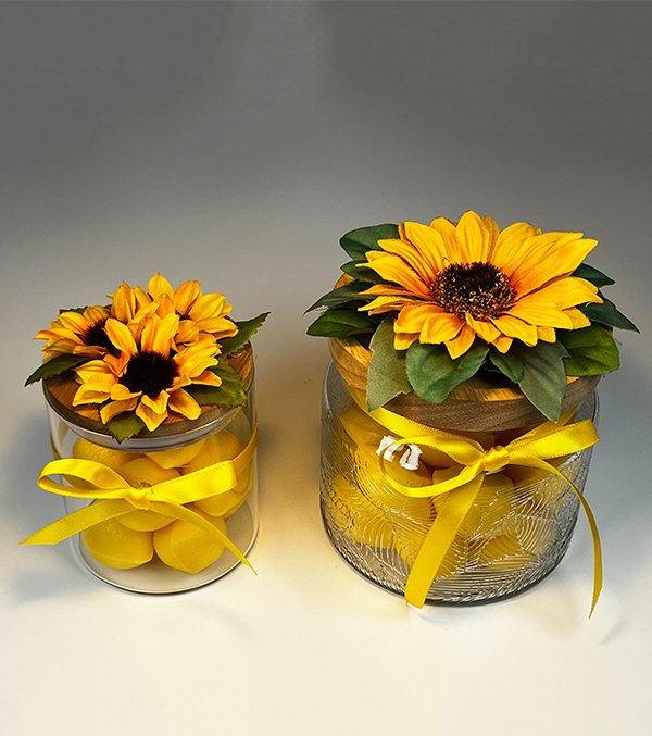 Bev_Sunflowers copy.jpg