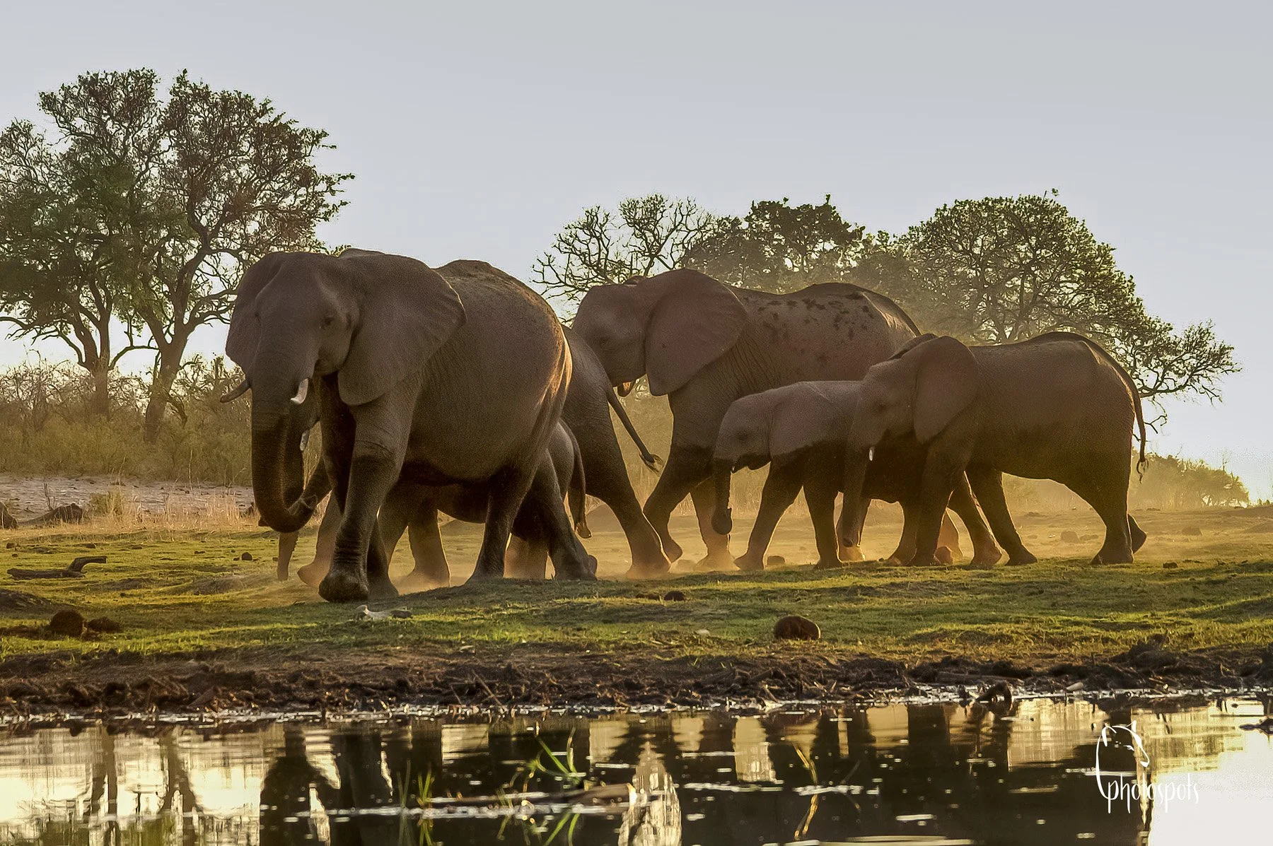 AFRIKA