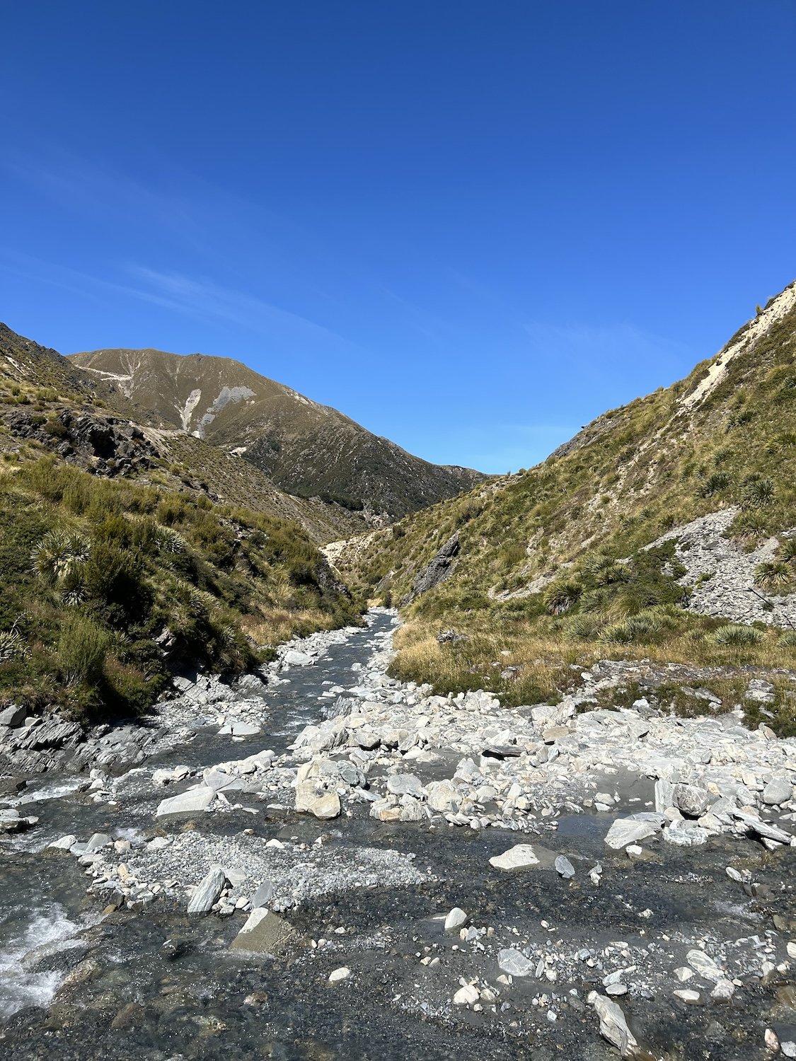 IMG_0578.jpeg