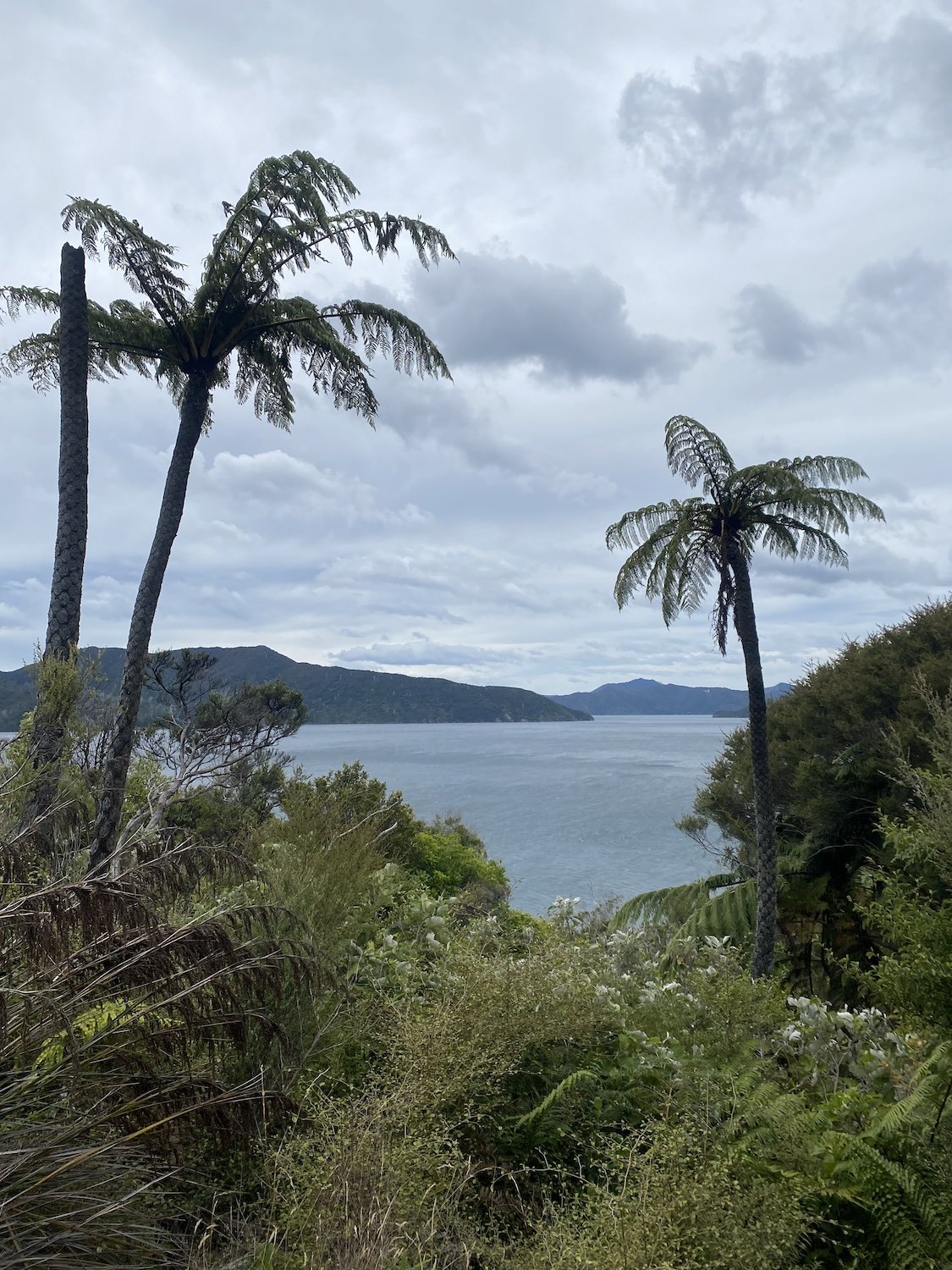 The Queen Charlotte Track