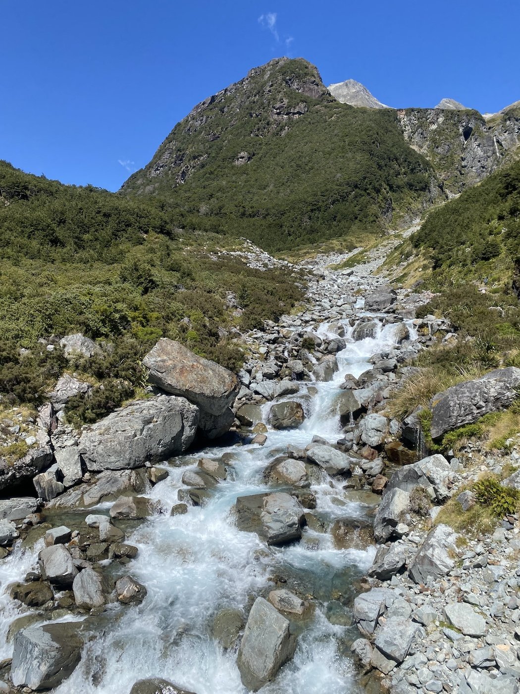 IMG_0398.jpeg