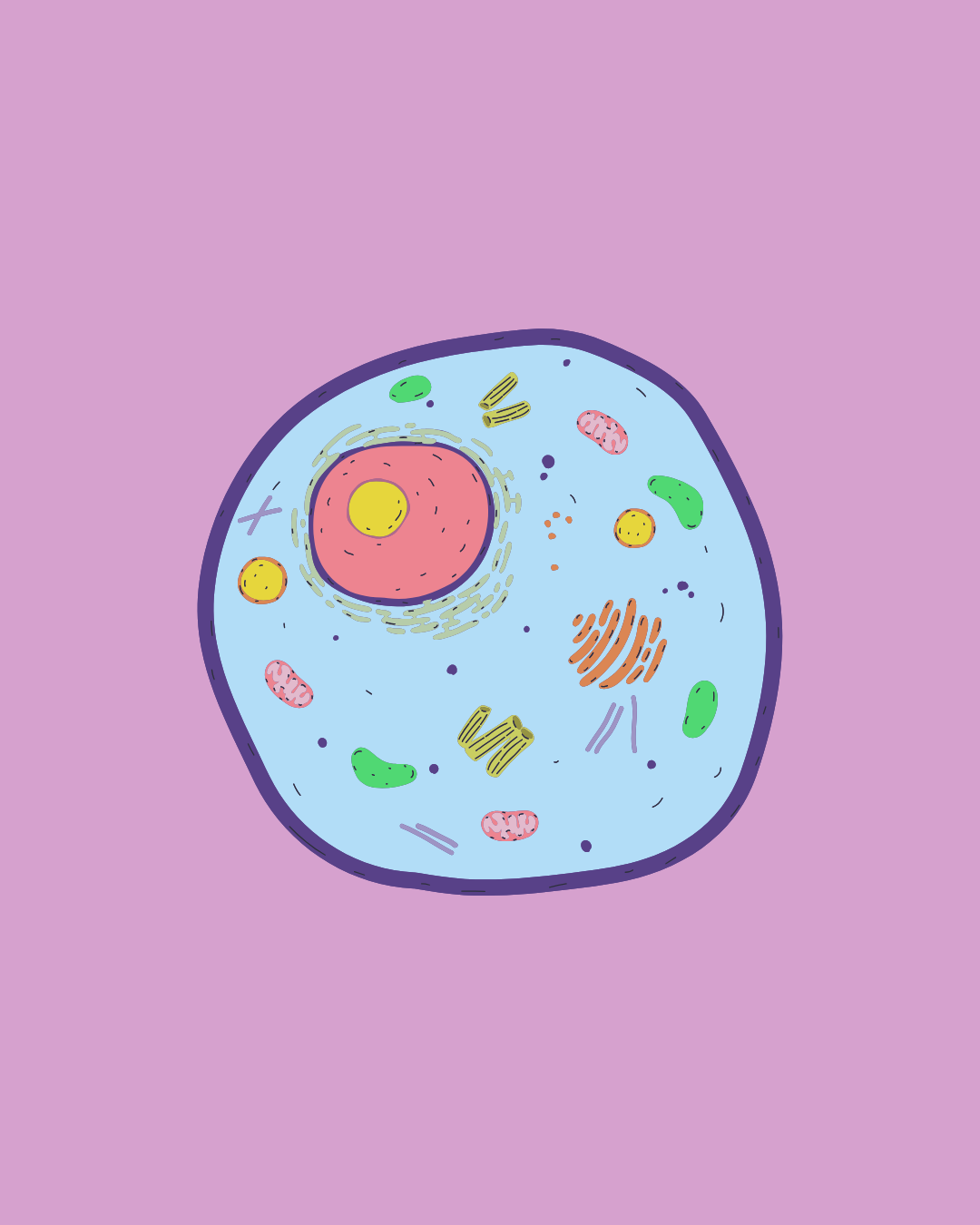 Introducing the Cell Danger Response