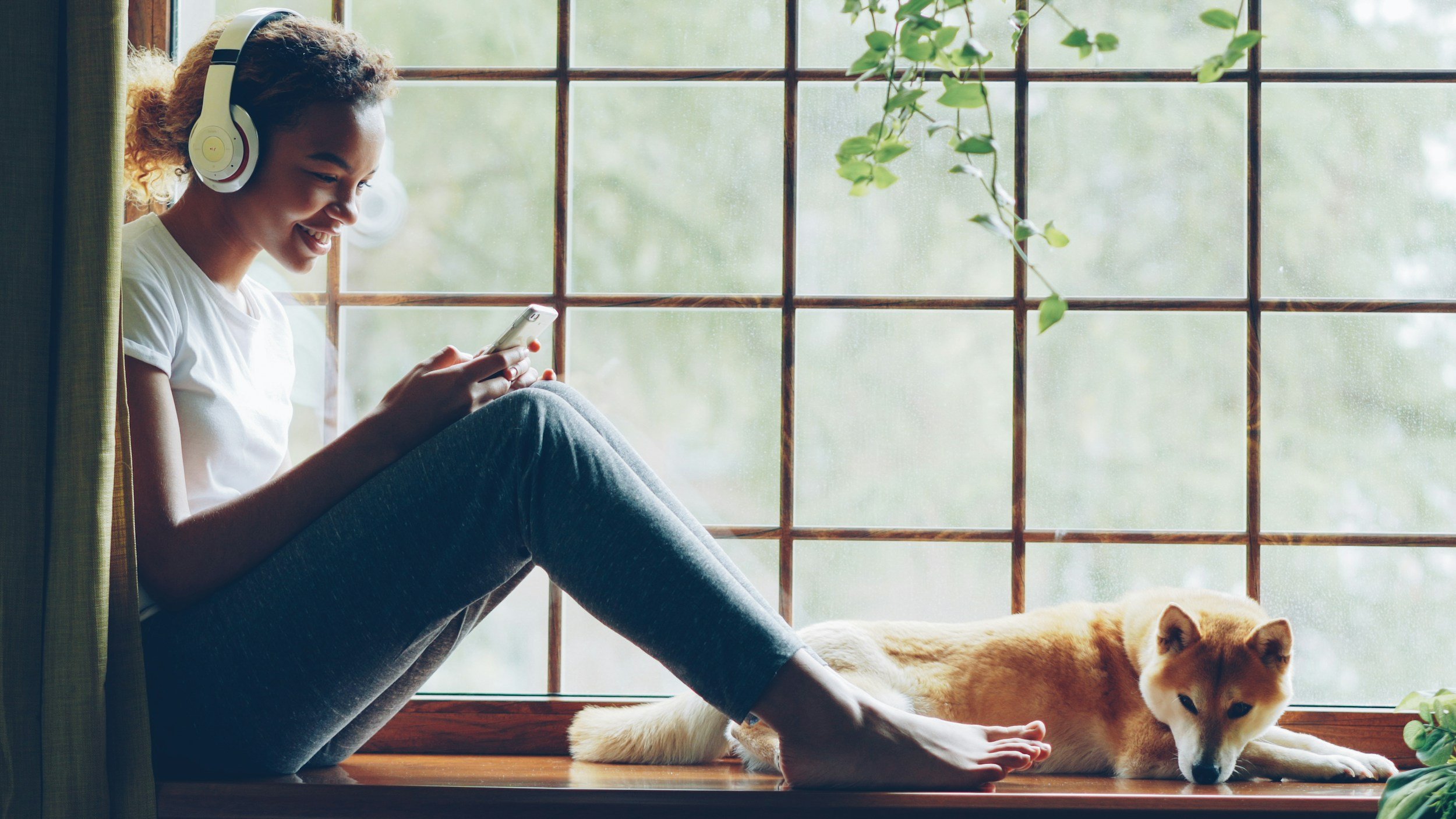 The Rise of Micro-Learning: How to Write Bite-Sized Content for Pet Parents