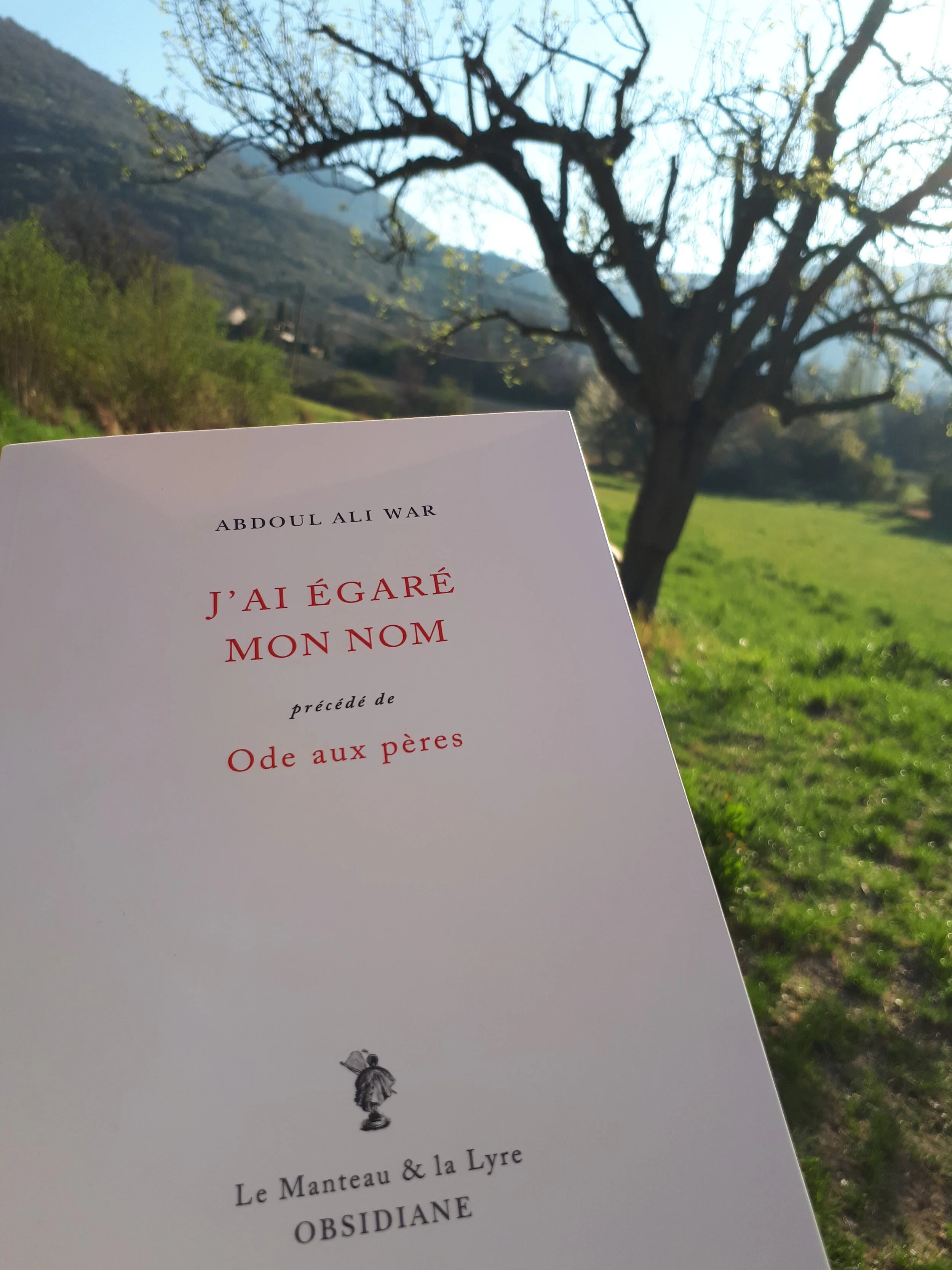 Livre et arbre ar plan.jpg