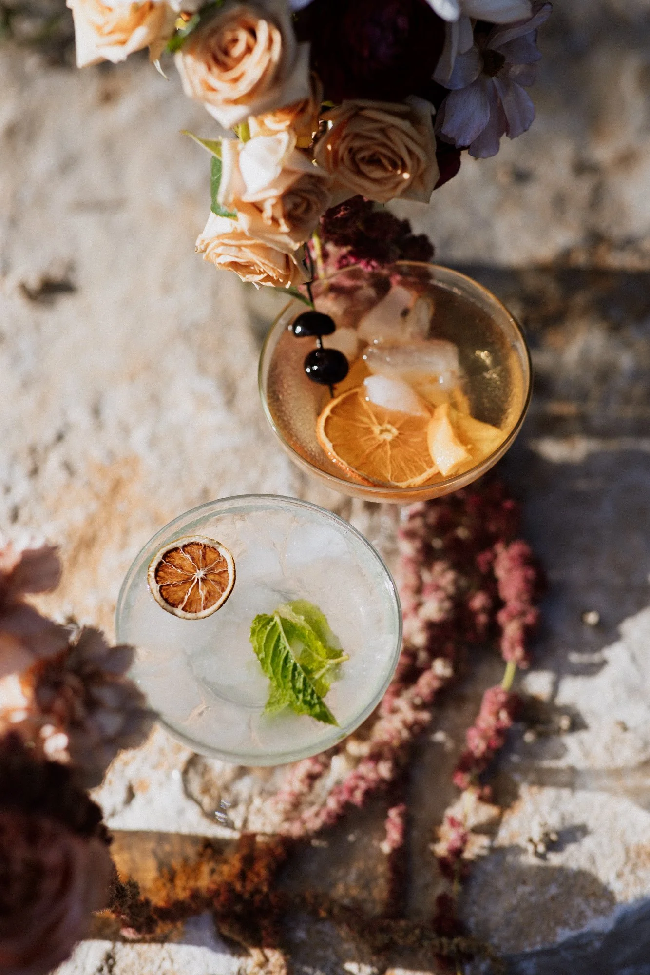 Jungle-Branch-Kelly-Dylan-ALL-521 copy.jpg