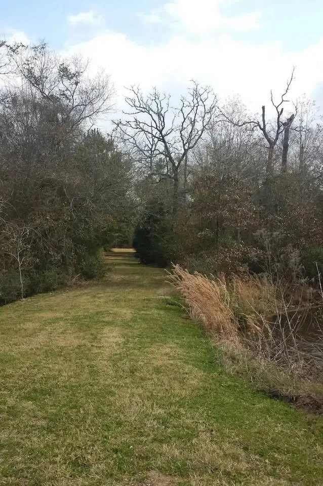 544535995_1316758510141414_8603797661712222214_n.jpg