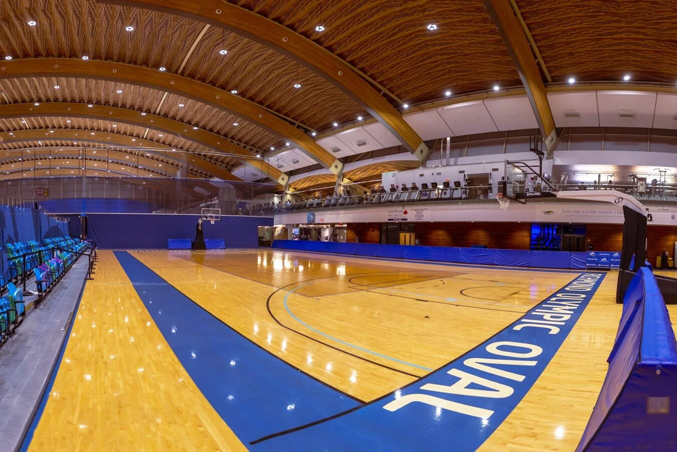 Basketball Immersion