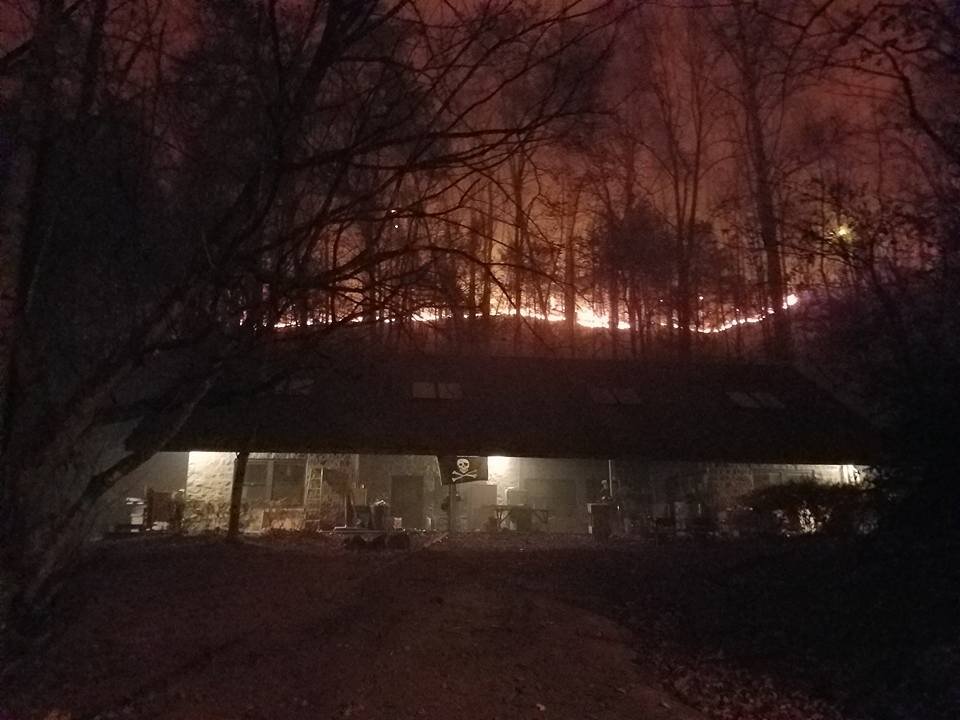 fire2.jpg