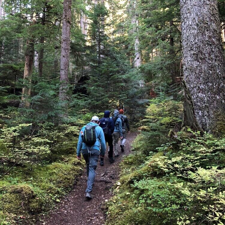 Hikes in the Pacific Northwest - pnw hikes