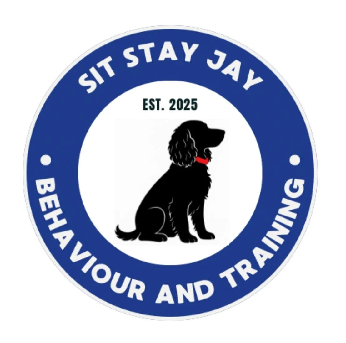 Sit Stay Jay Behaviour and Training