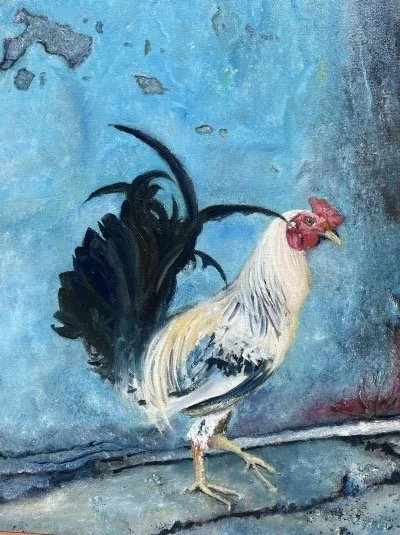Rooster