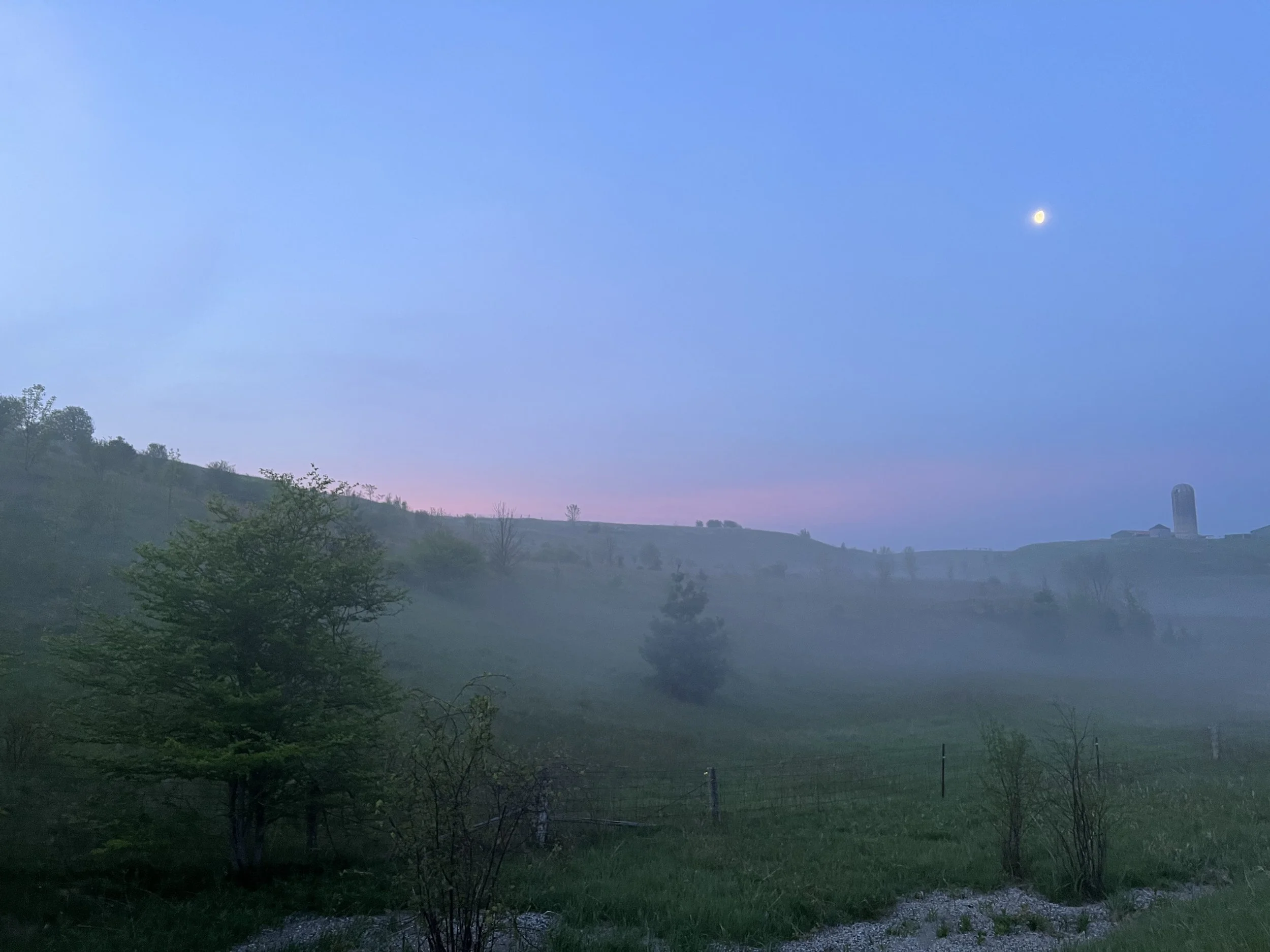 Fundamentals of healthy living: Stoicism
