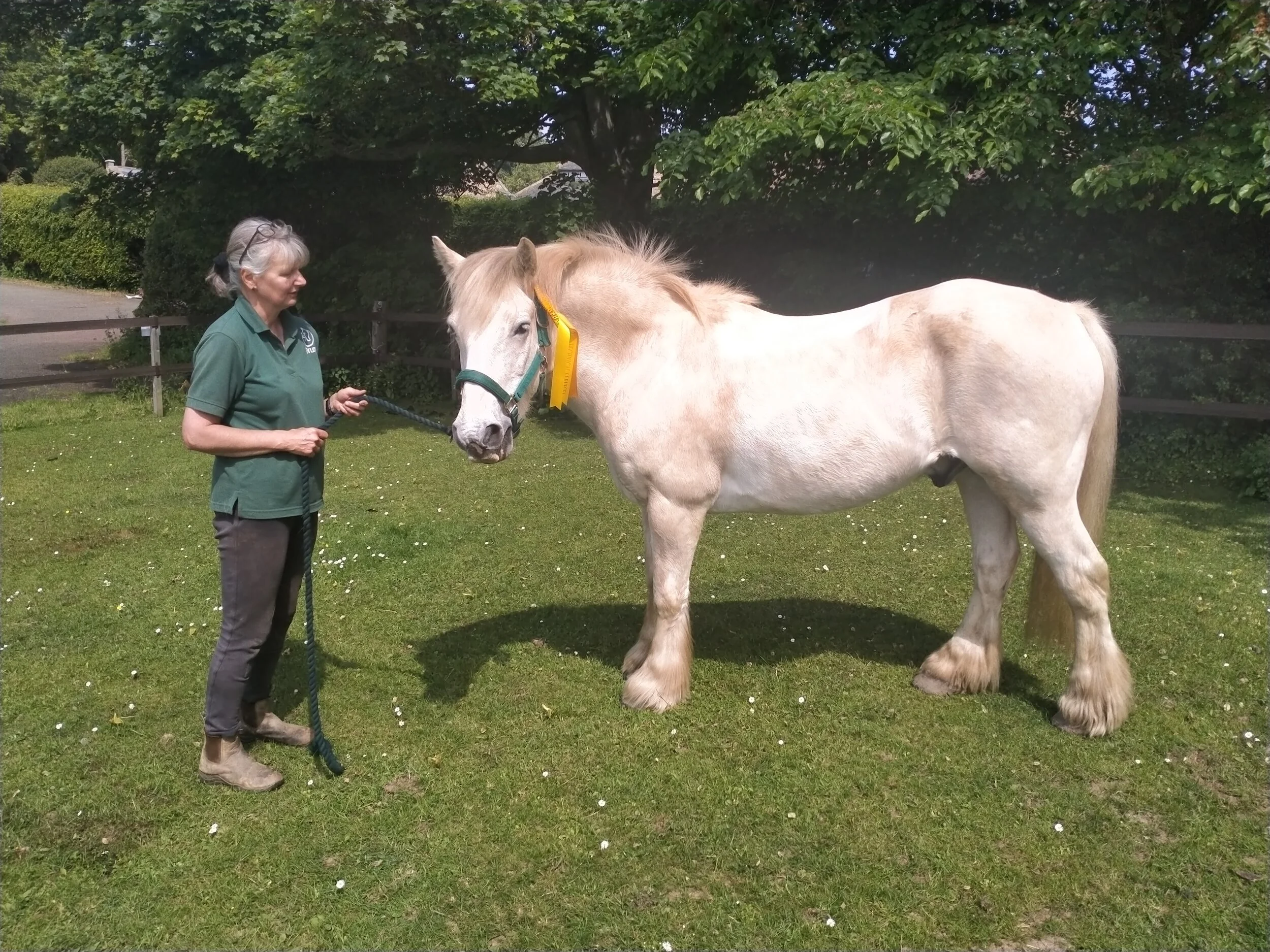 Jackie Howlett with Murphy winning third place in Mountain and Moorland, large breed in hand class.
