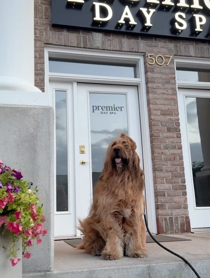 Two things that always lift us up: spa days and unconditional love from our dogs. 

Happy International Dog Day 🐾