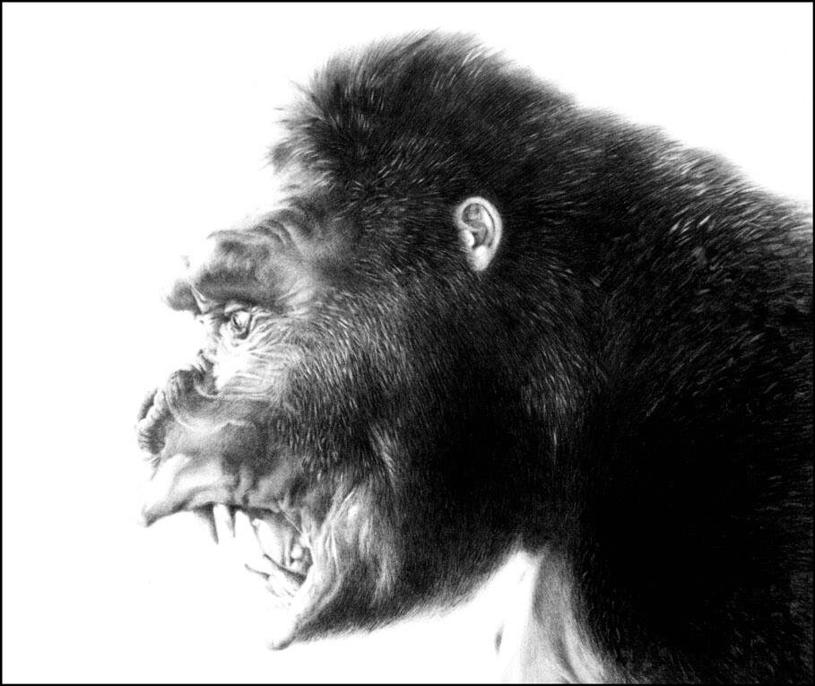 King Kong - Icon Image