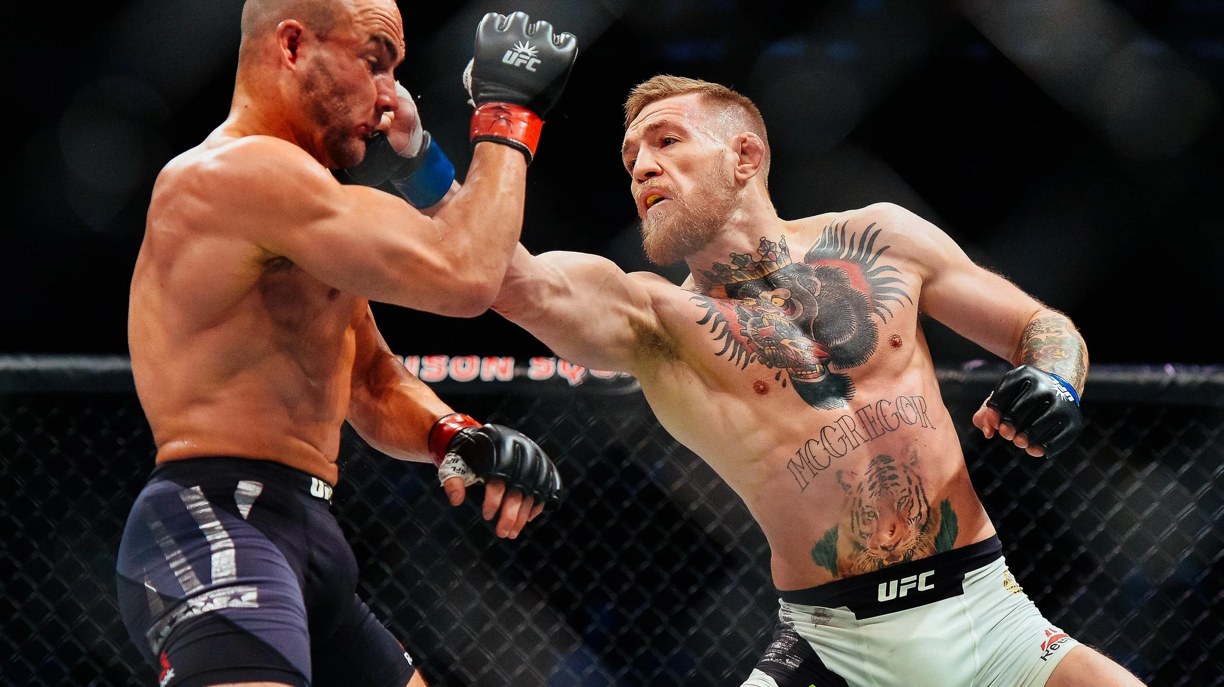 UFC_DCT.jpg