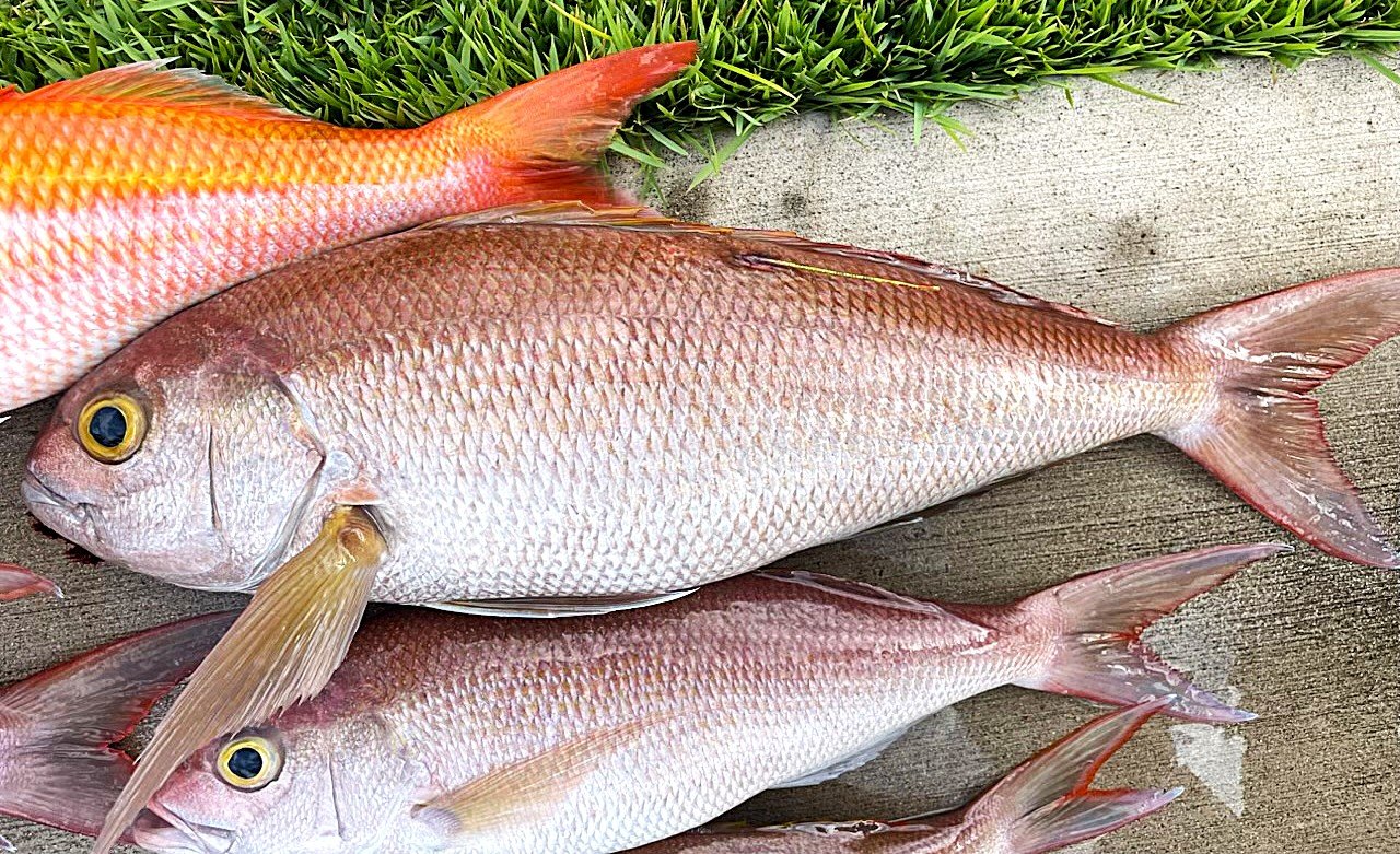Recaptured Fish at Sea for 12.4 Years