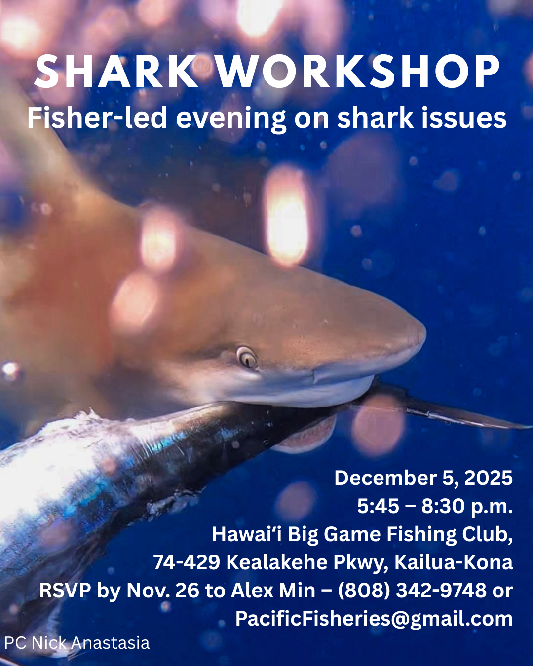 Shark Depredation - Kona Workshop