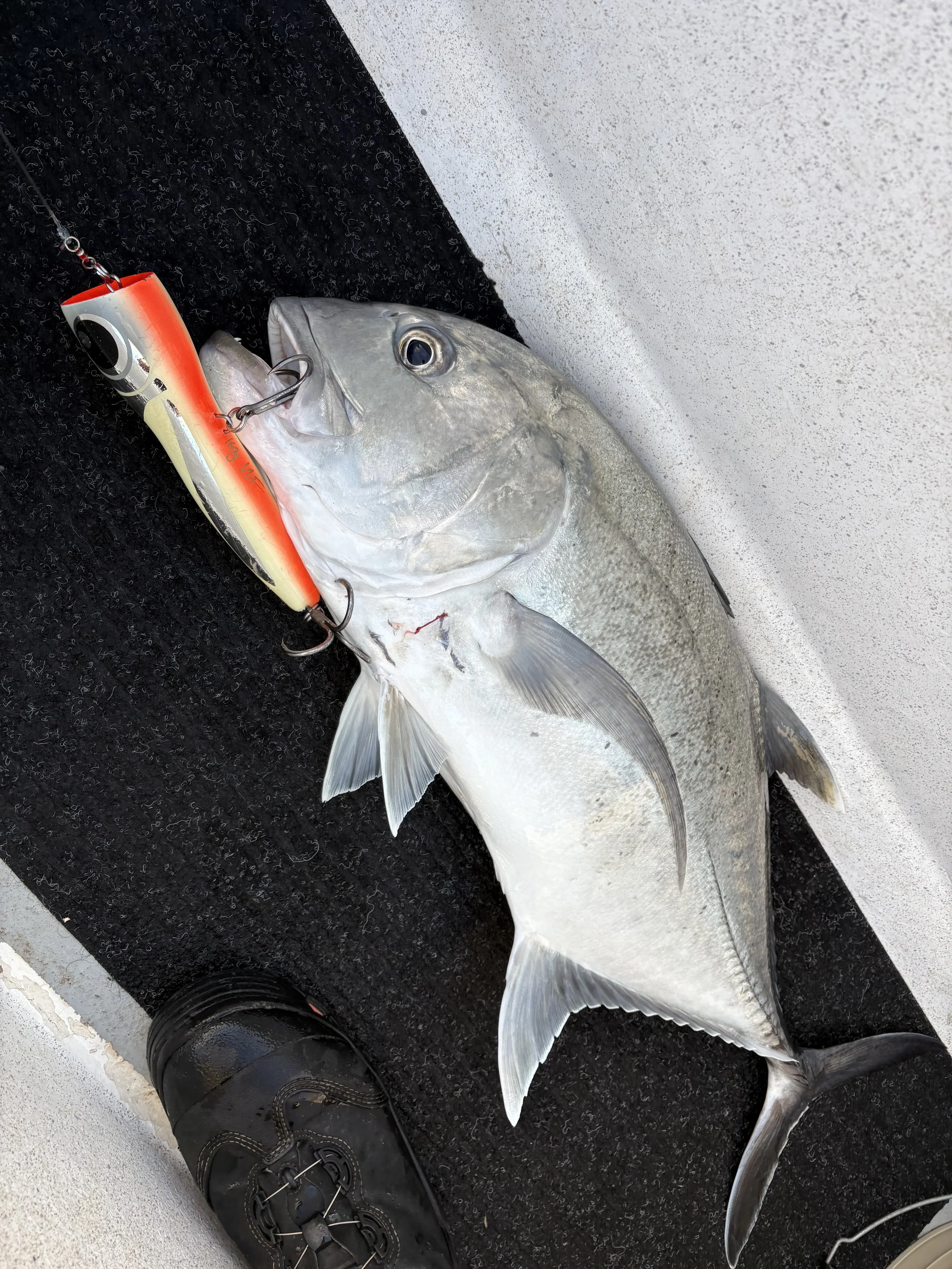 IMG_6112 Cory Olores.jpeg