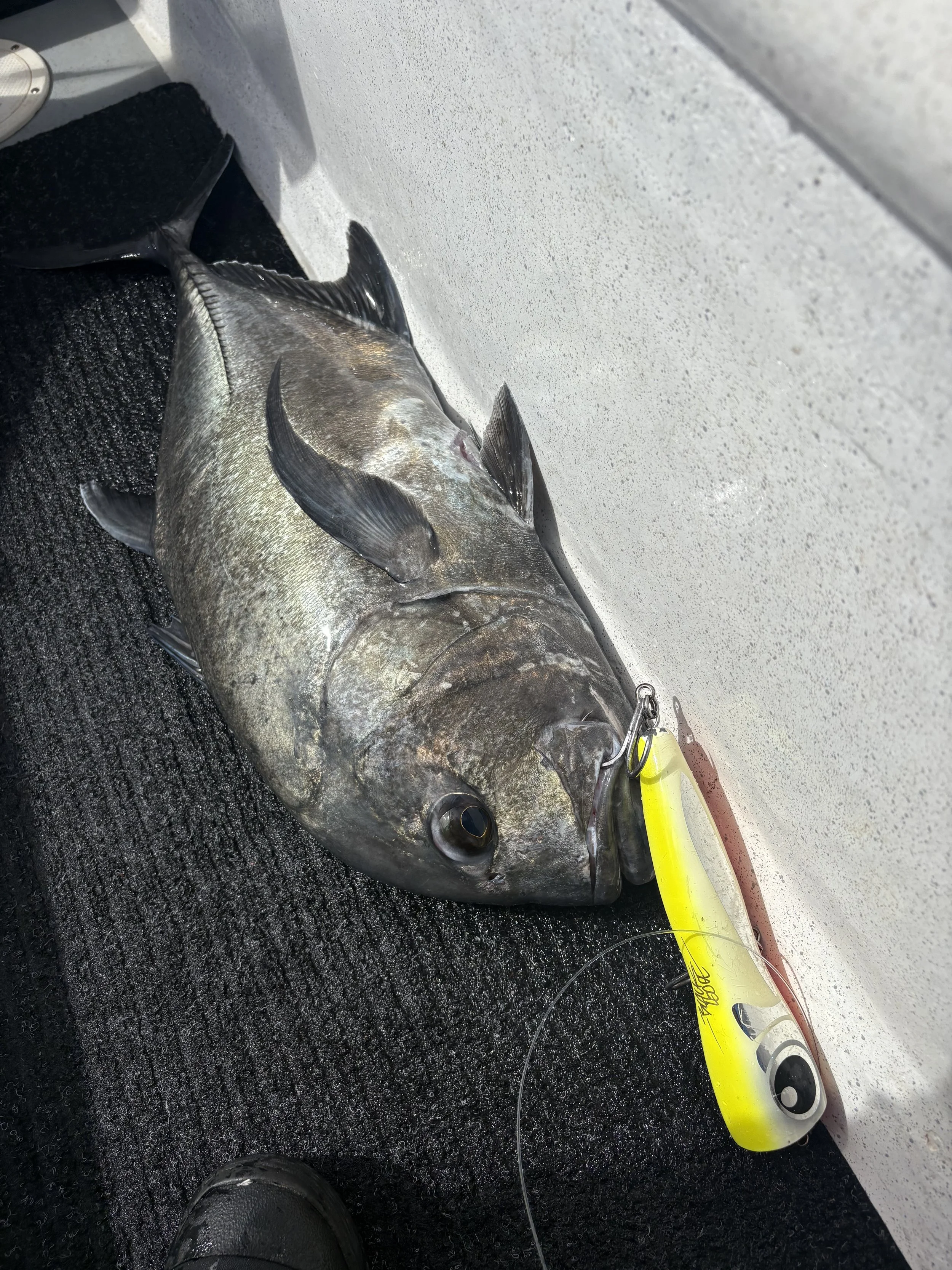 IMG_6109 Cory Olores.jpeg