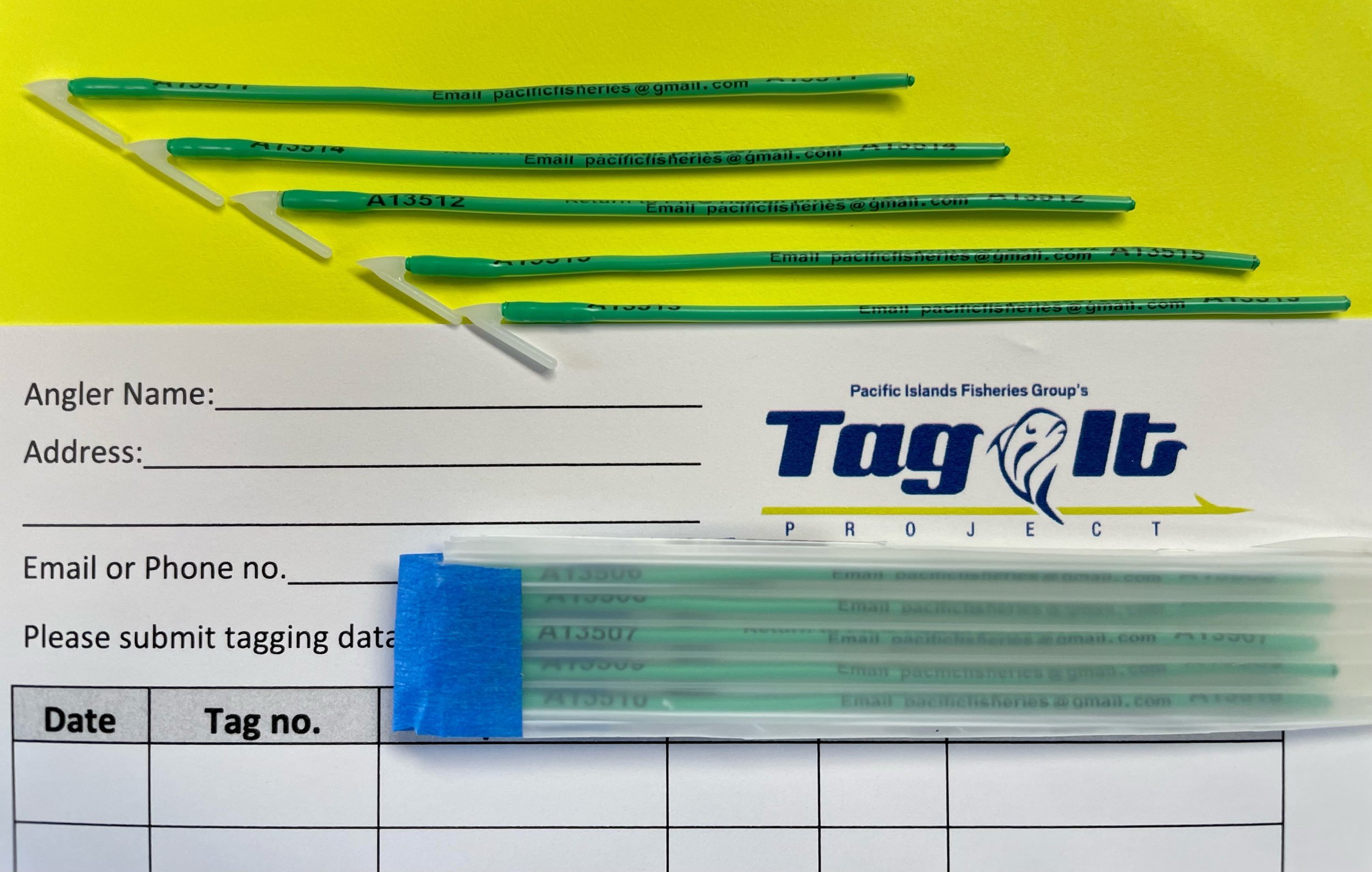 PIFG Tags - 20 Pack (Shipping Included)