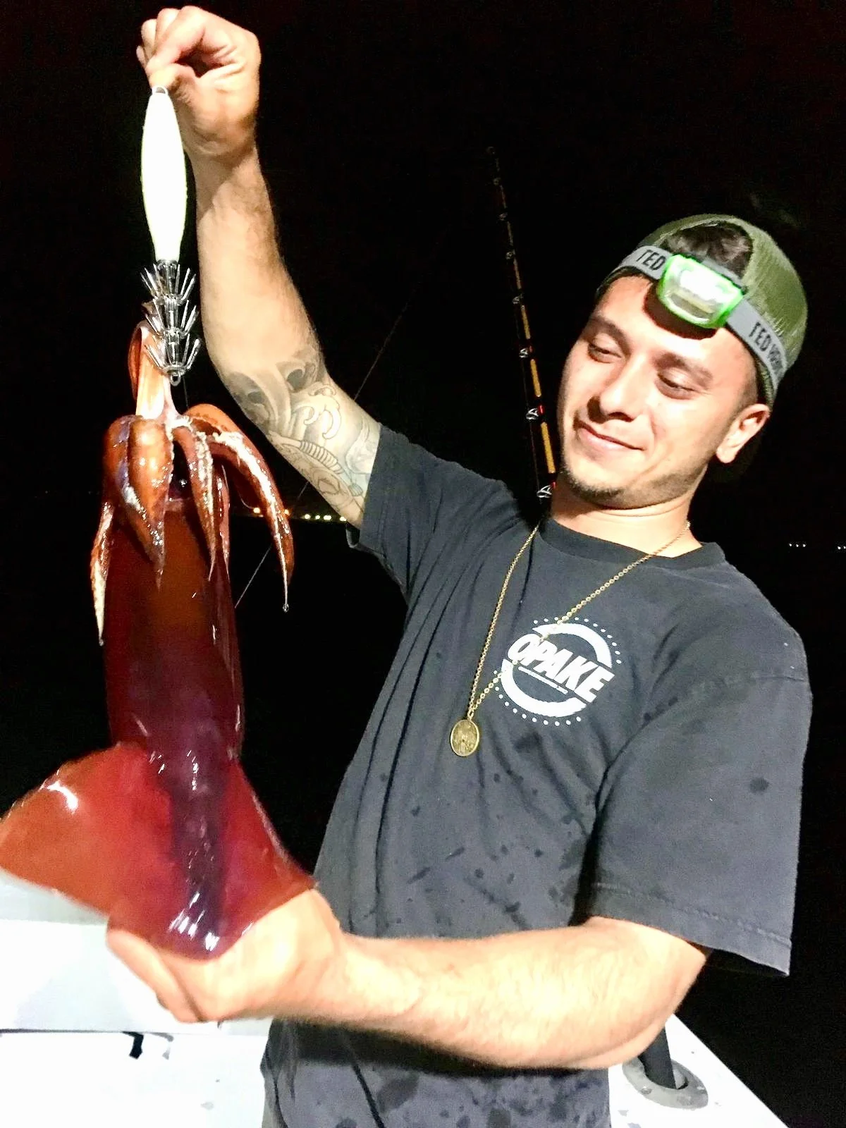 Squid Innovation