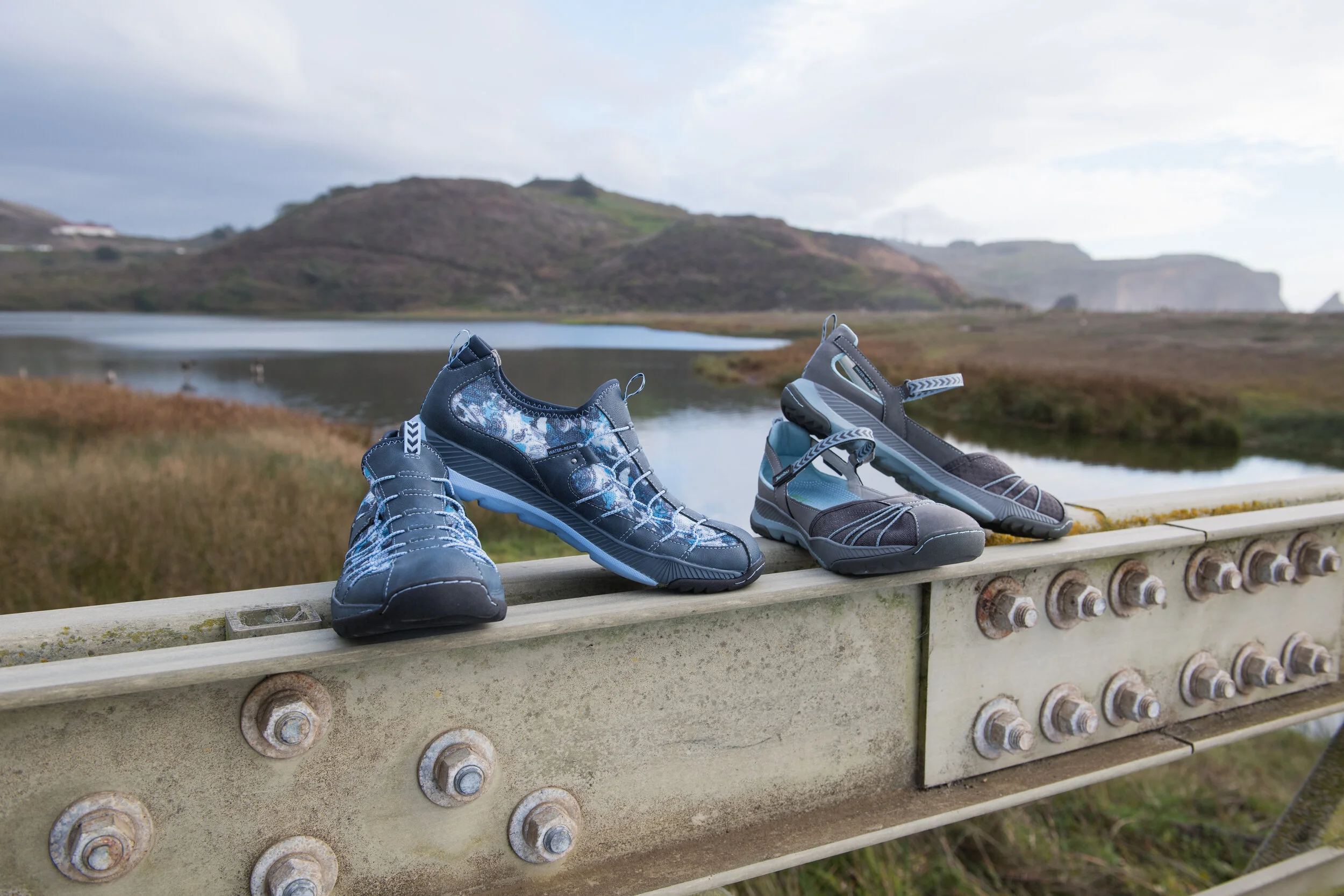 Sparrow and Irish group productIrish and Sparrow Group DSC_4481.jpg