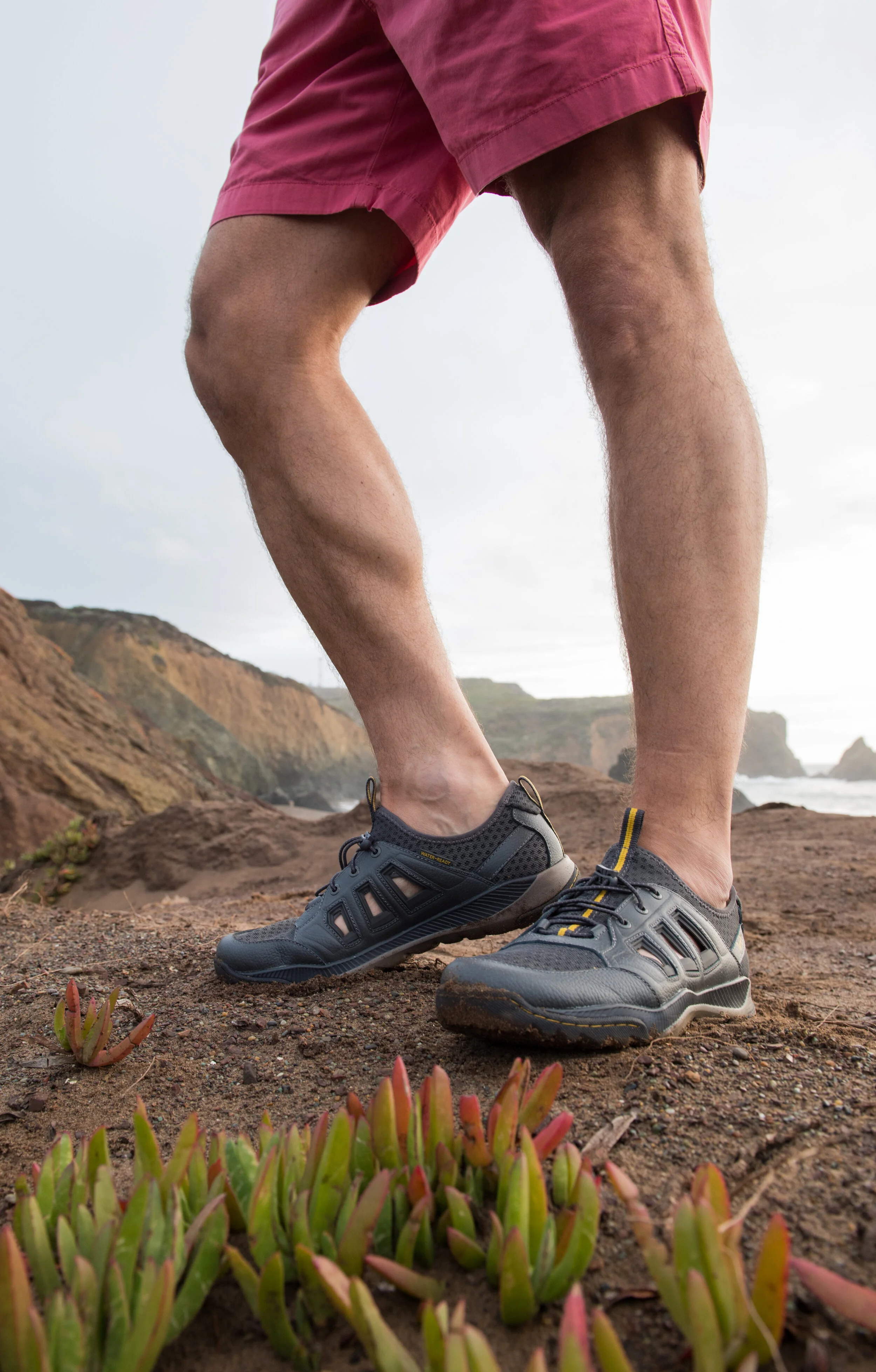 Redwood detail on footDSC_5305.jpg