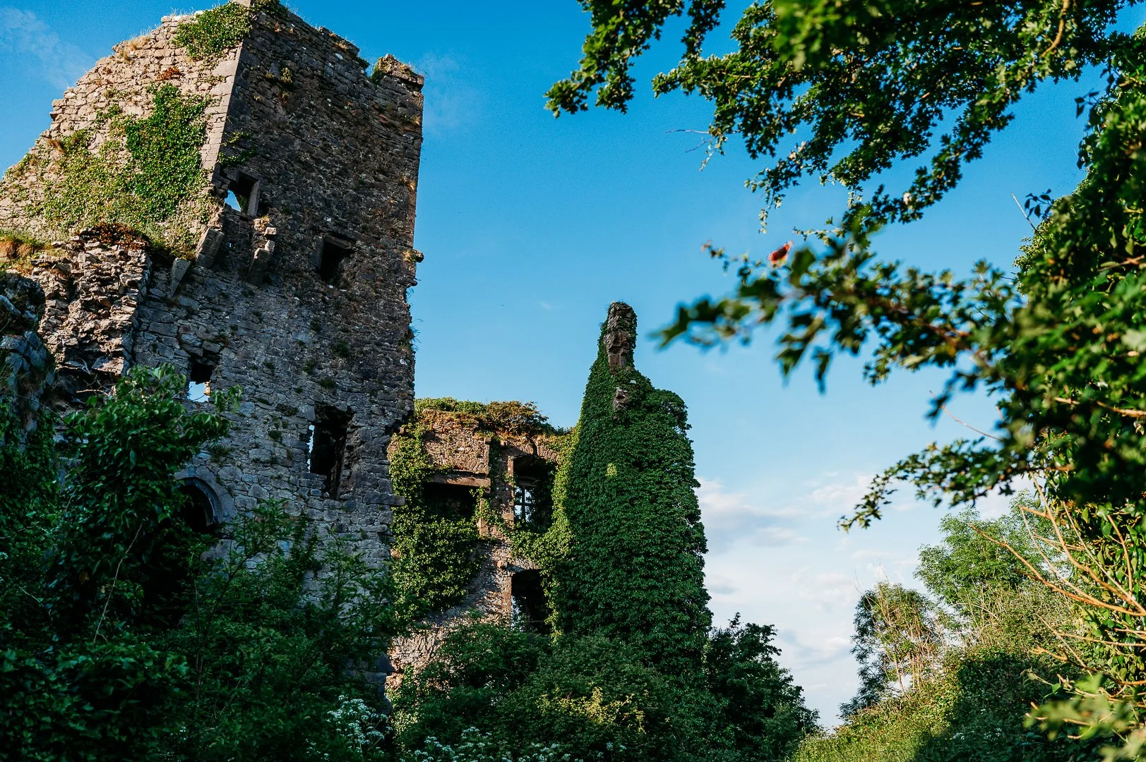 Carrigogunnel castle photo session Ireland Marie O'Mahony photography