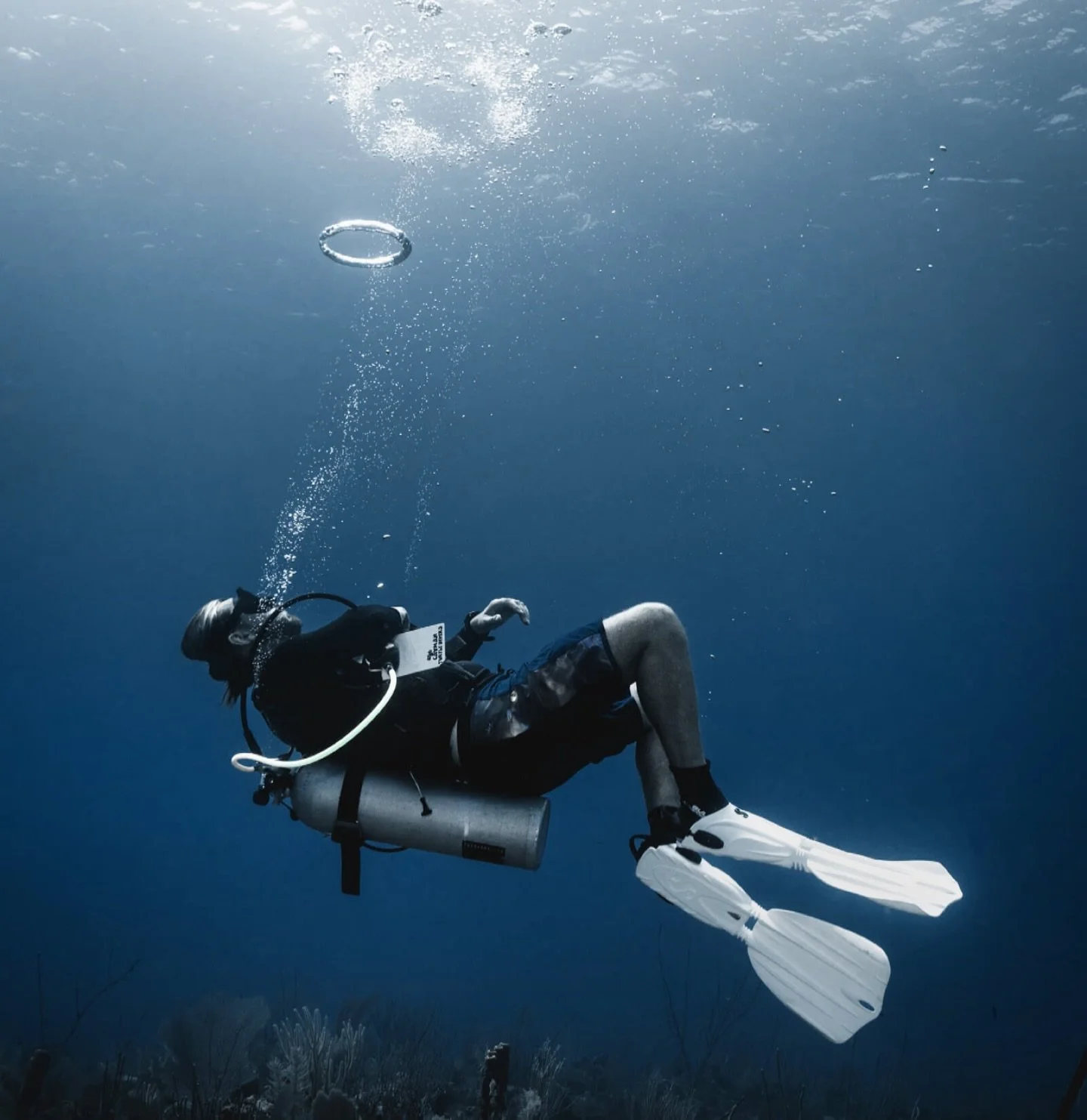 One ring to rule them all.⁣
⁣
While we spend a lot of time in the mountains, we also enjoy dipping our toe in underwater shoots. ⁣
⁣
#happycampmedia #water #underwaterphoto #explore #media #lordoftherings #bubbles #ocean #sea