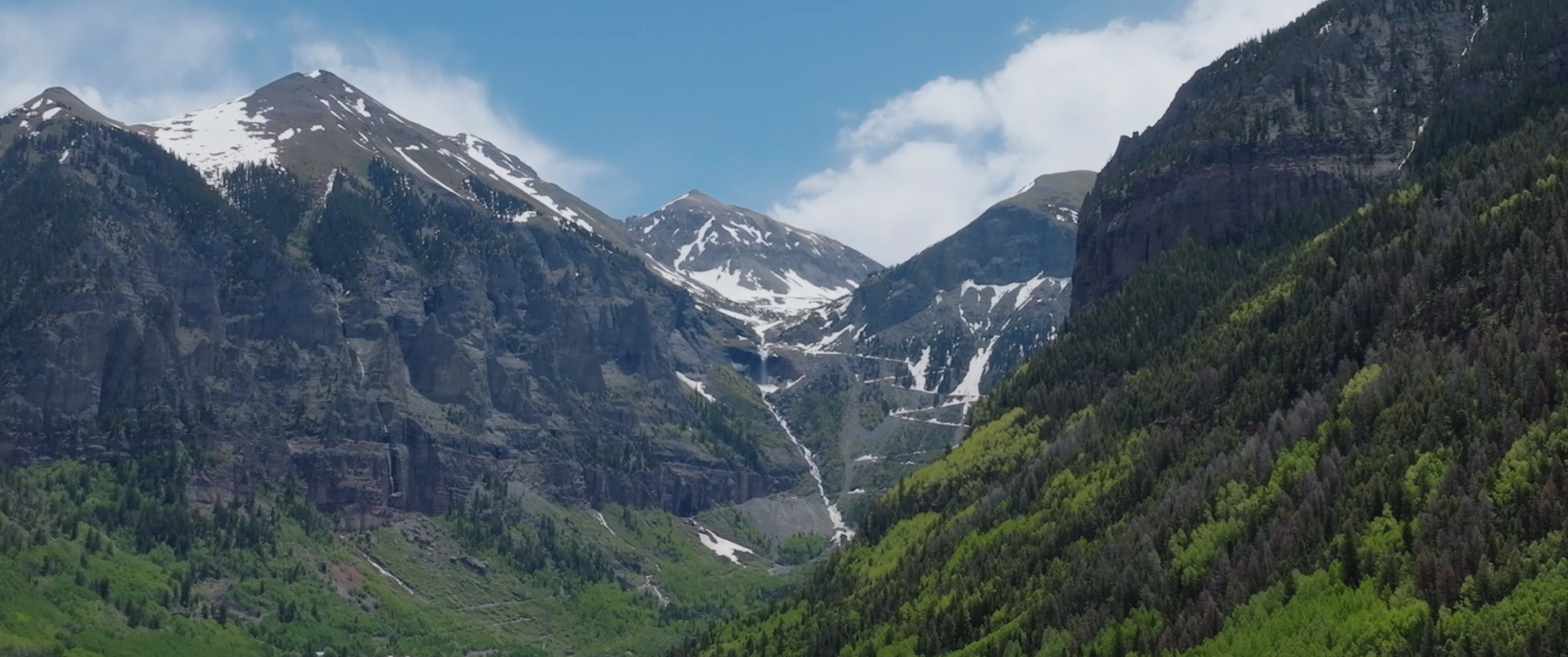 Telluride Consulting