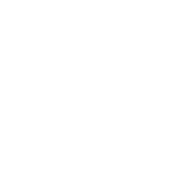 The Traveling Picture Show Company