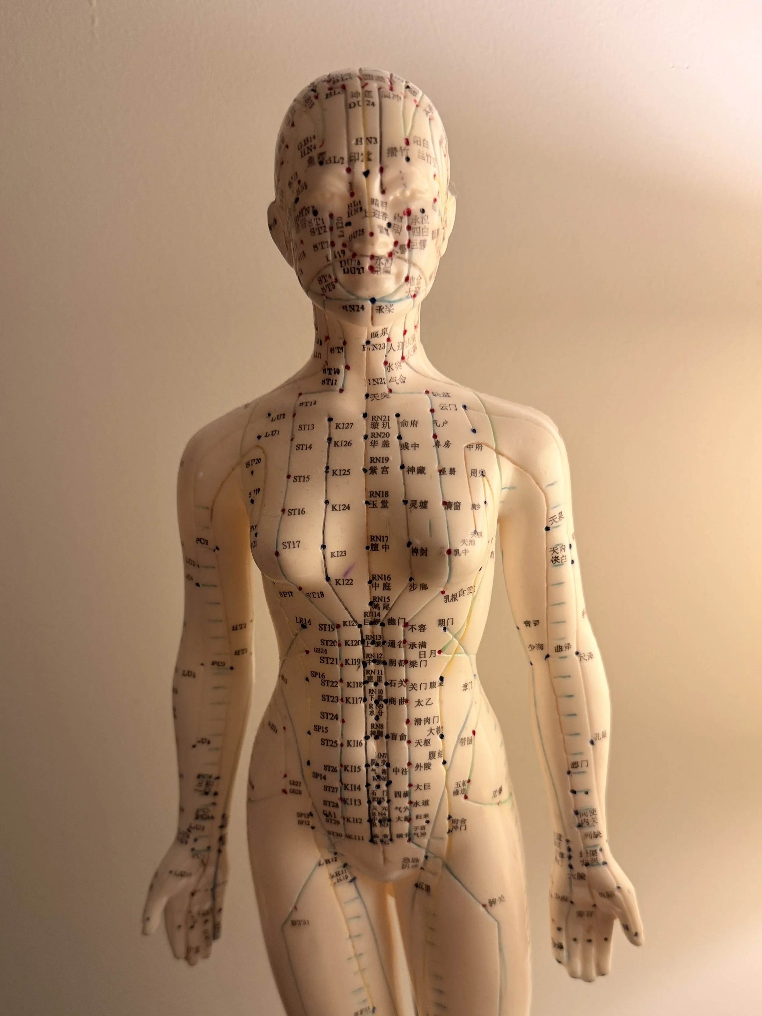 Saint Sophia Acupuncture