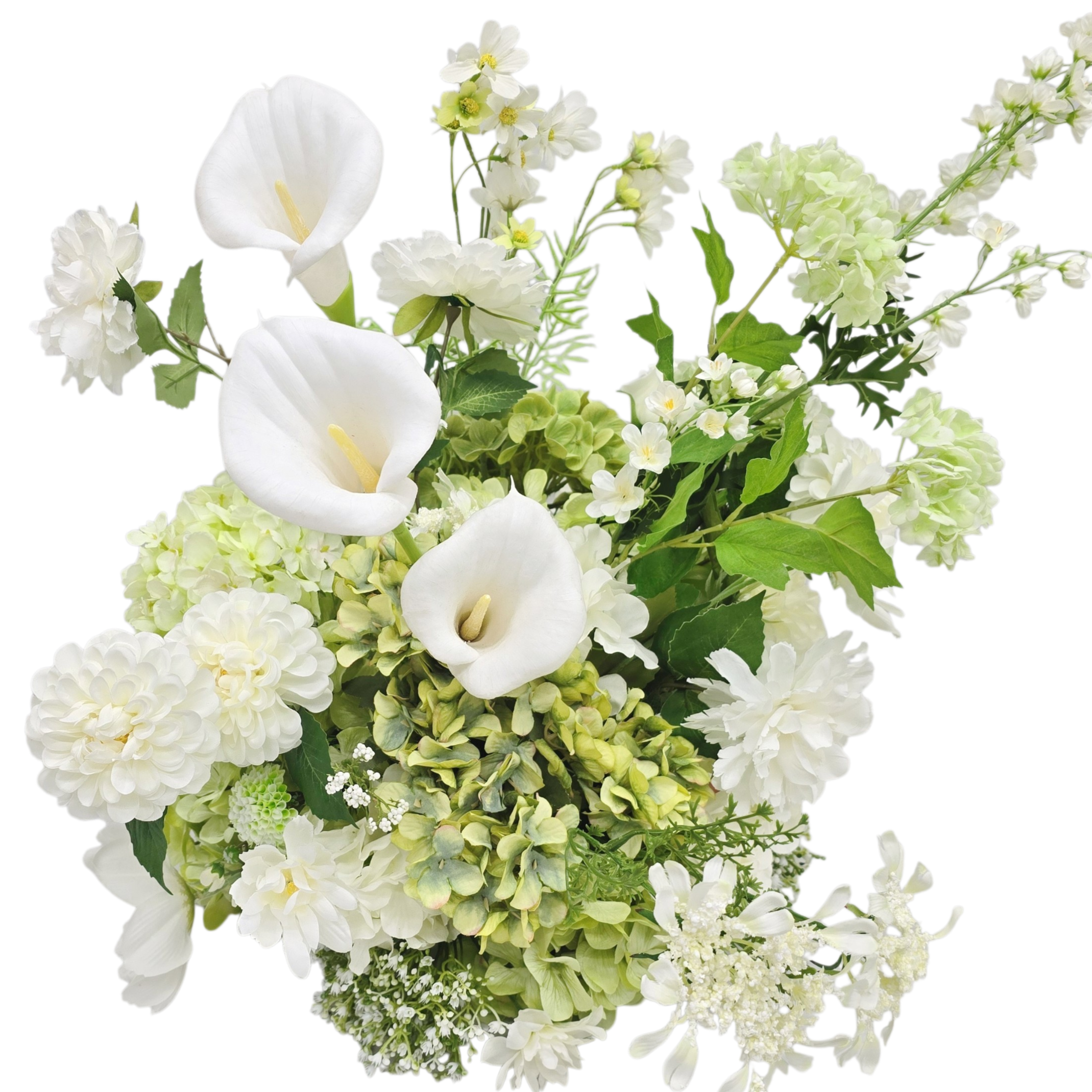 Modern Botanical