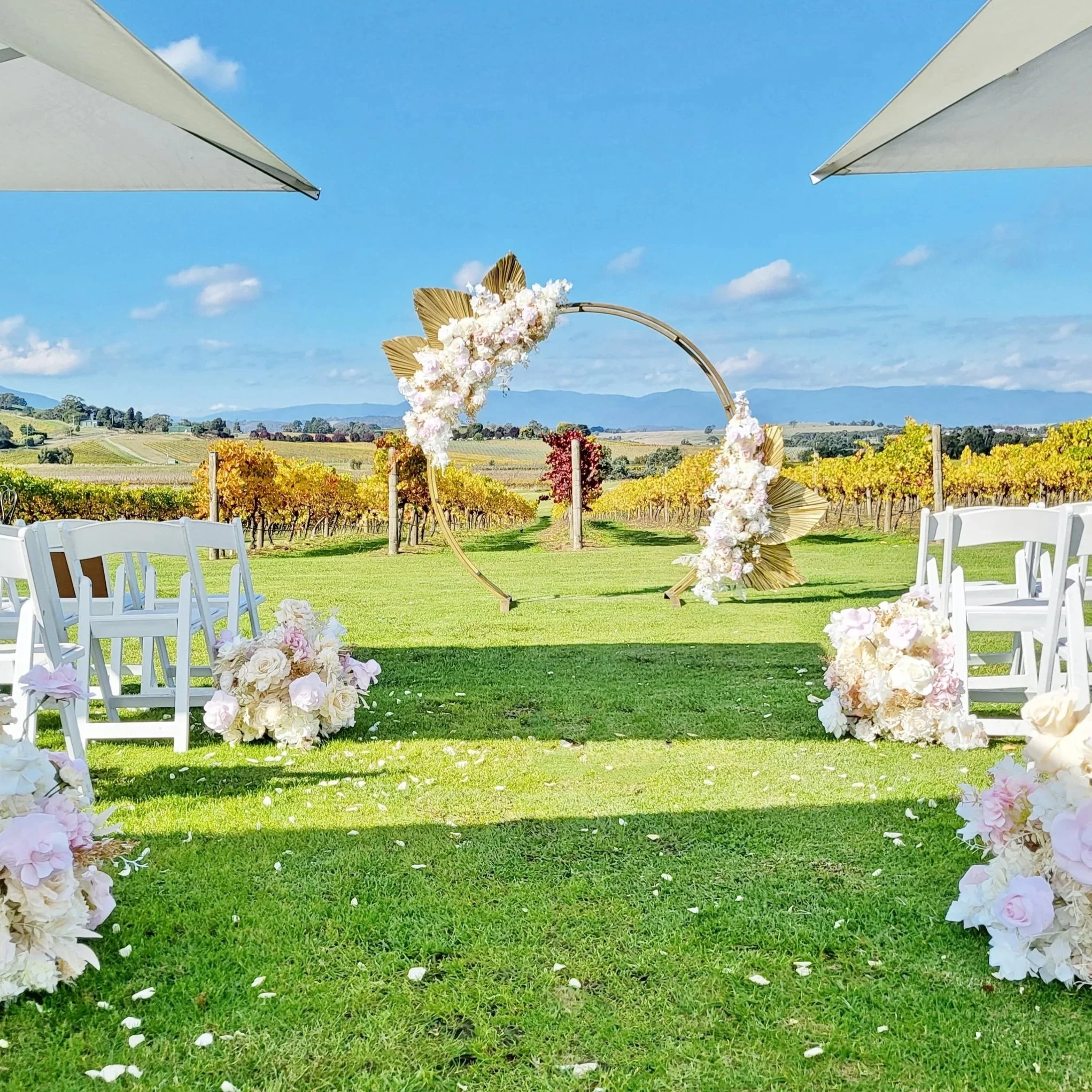 Acacia Ridge Vineyard