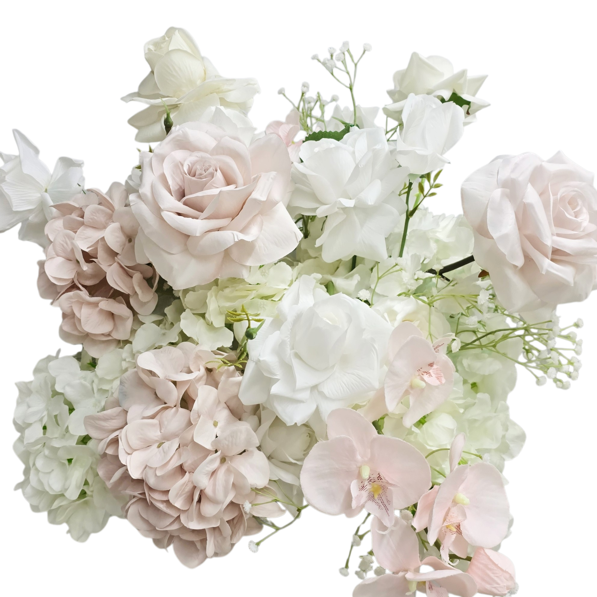 Blush & White