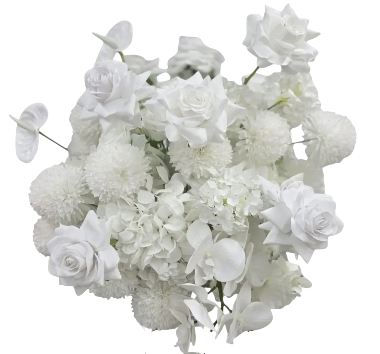 Elegant White