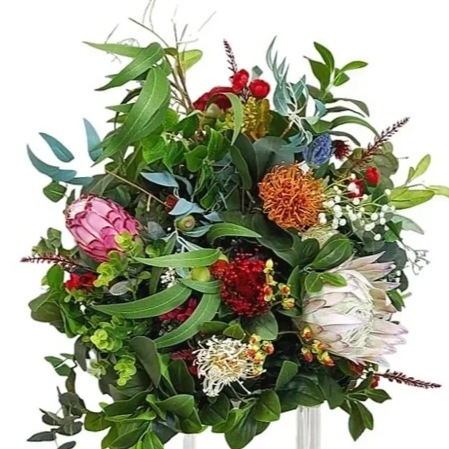 Colourful Natives
