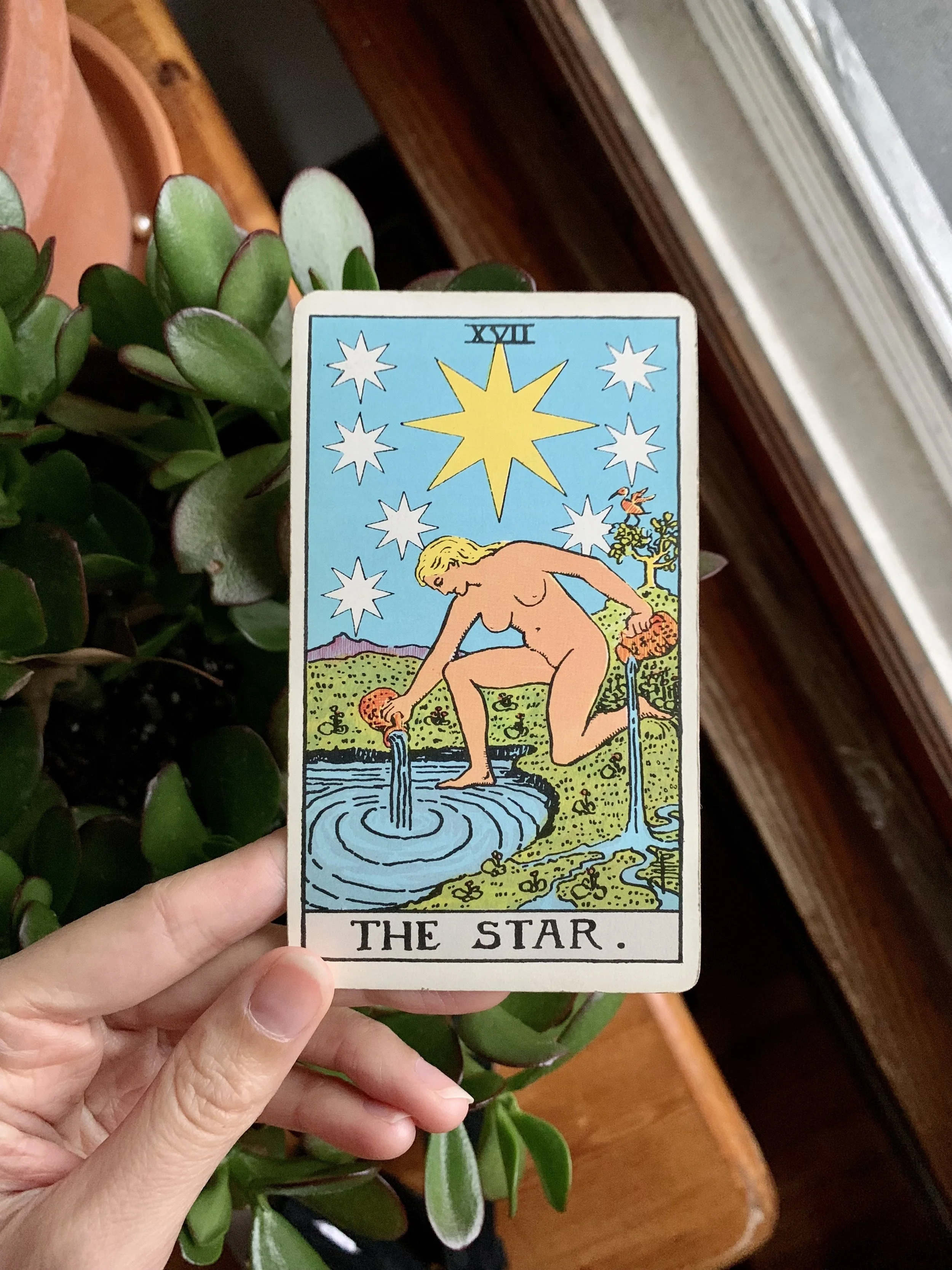 The Star.JPG