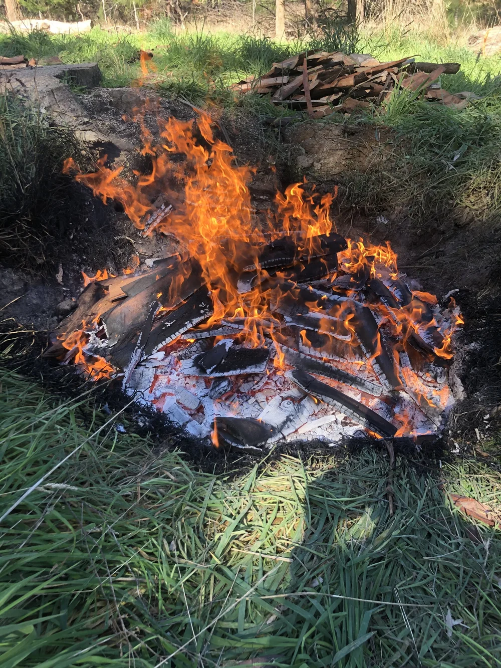Making Biochar Is Easy And Is A Fantastic Material For Gardens And Farms Manna Hill Estate
