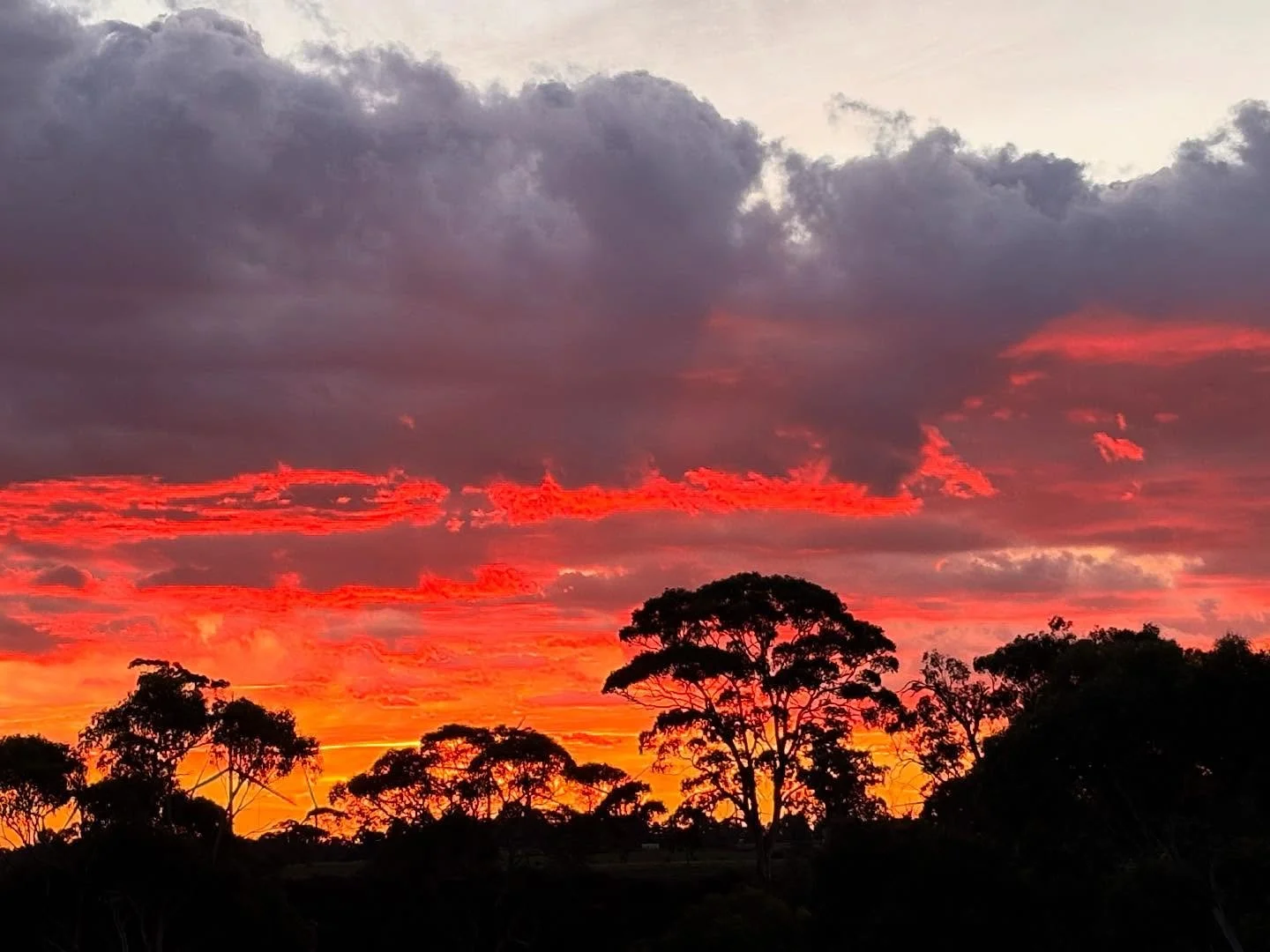 An amazing sunset after another glorious day. Really nice to be outside enjoying the sunshine. #mannahillestate #sunset #wintersday #sunny #olivegrove